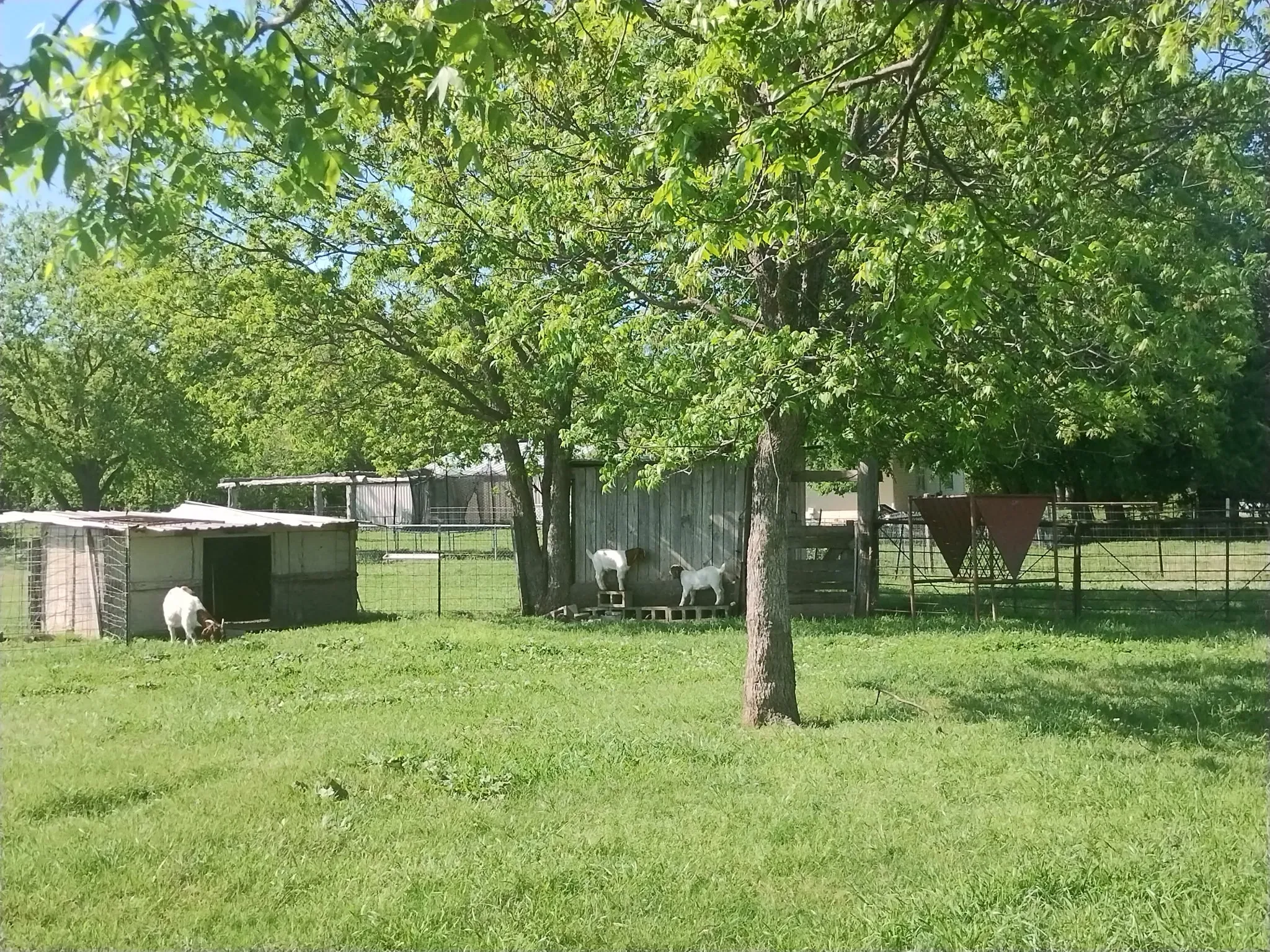 Single Family Residence For Sale in Grayson County , 4440 Dripping Springs Road, Sherman, Texas 75090, 3 Bedroom, 2 Bathroom, Garage spaces, 1,286 Sqft, built in 2001, Preowned, Price $380,000, mls#21228256, Real Estate Agent in Sherman, Homes For Sale in Grayson county, Homes For Sale in Sherman, Realtor in Sherman Texas, Real Estate Brokerage Independent Realty Texas, Luminita Cordes Realtor