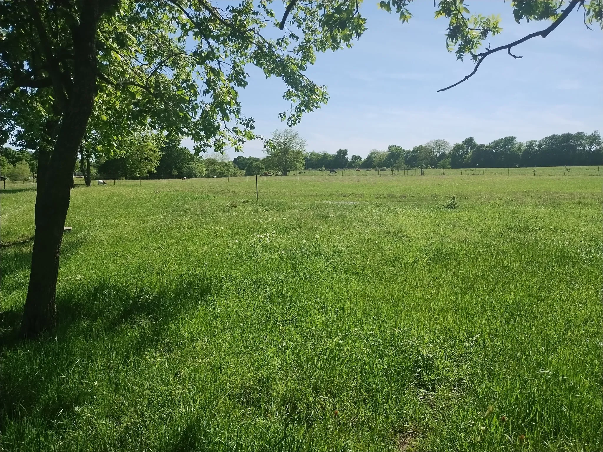 Single Family Residence For Sale in Grayson County , 4440 Dripping Springs Road, Sherman, Texas 75090, 3 Bedroom, 2 Bathroom, Garage spaces, 1,286 Sqft, built in 2001, Preowned, Price $380,000, mls#21228256, Real Estate Agent in Sherman, Homes For Sale in Grayson county, Homes For Sale in Sherman, Realtor in Sherman Texas, Real Estate Brokerage Independent Realty Texas, Luminita Cordes Realtor