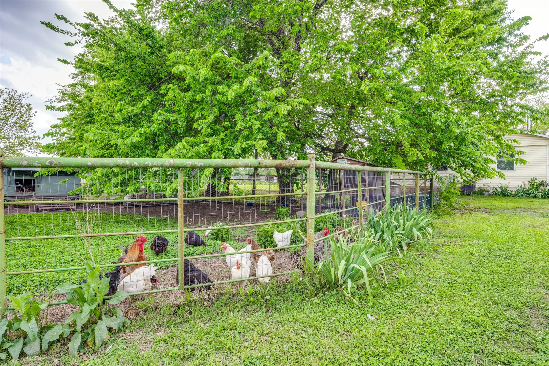 Single Family Residence For Sale in Grayson County , 4440 Dripping Springs Road, Sherman, Texas 75090, 3 Bedroom, 2 Bathroom, Garage spaces, 1,286 Sqft, built in 2001, Preowned, Price $380,000, mls#21228256, Real Estate Agent in Sherman, Homes For Sale in Grayson county, Homes For Sale in Sherman, Realtor in Sherman Texas, Real Estate Brokerage Independent Realty Texas, Luminita Cordes Realtor