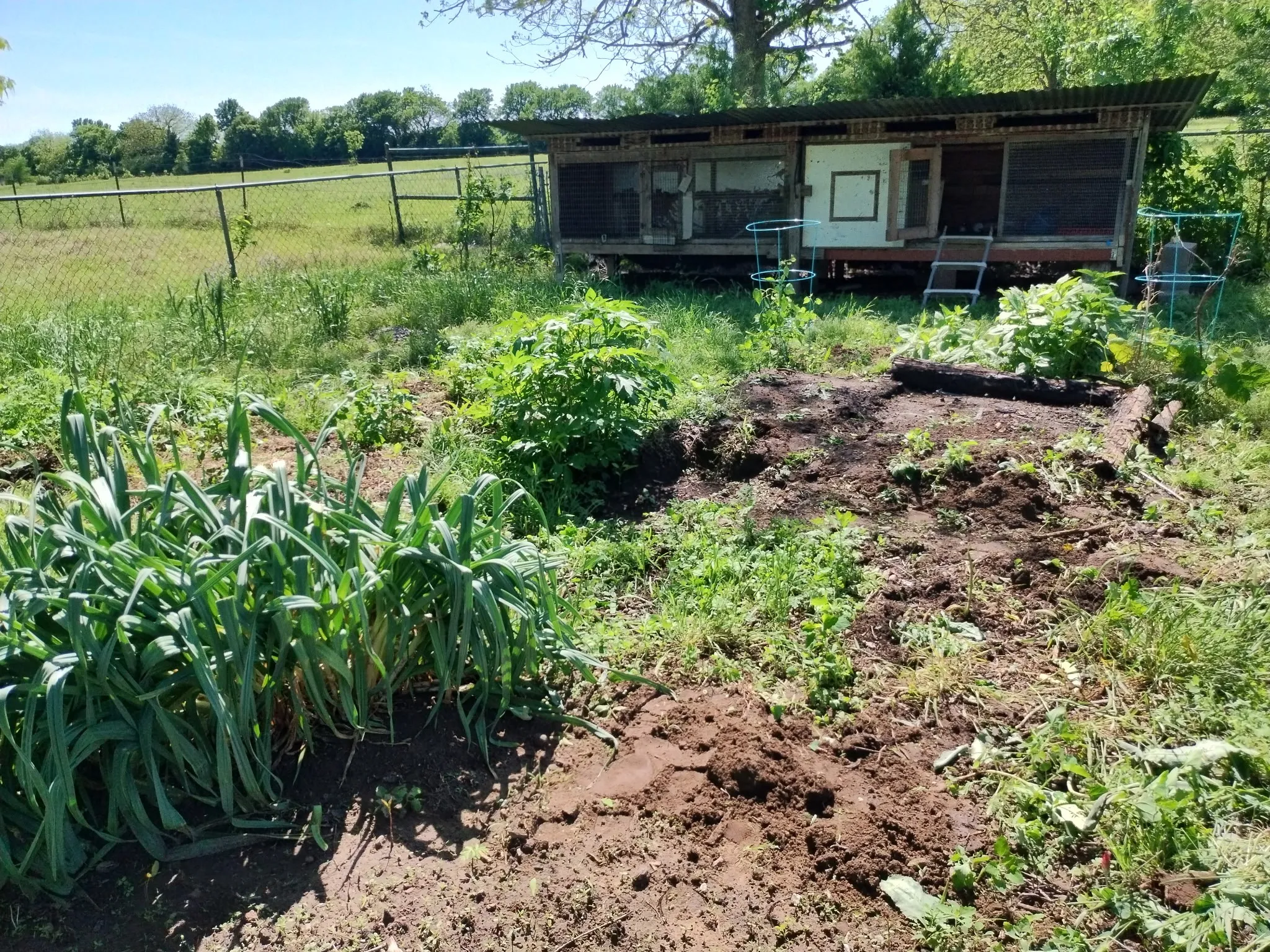 chicken coop