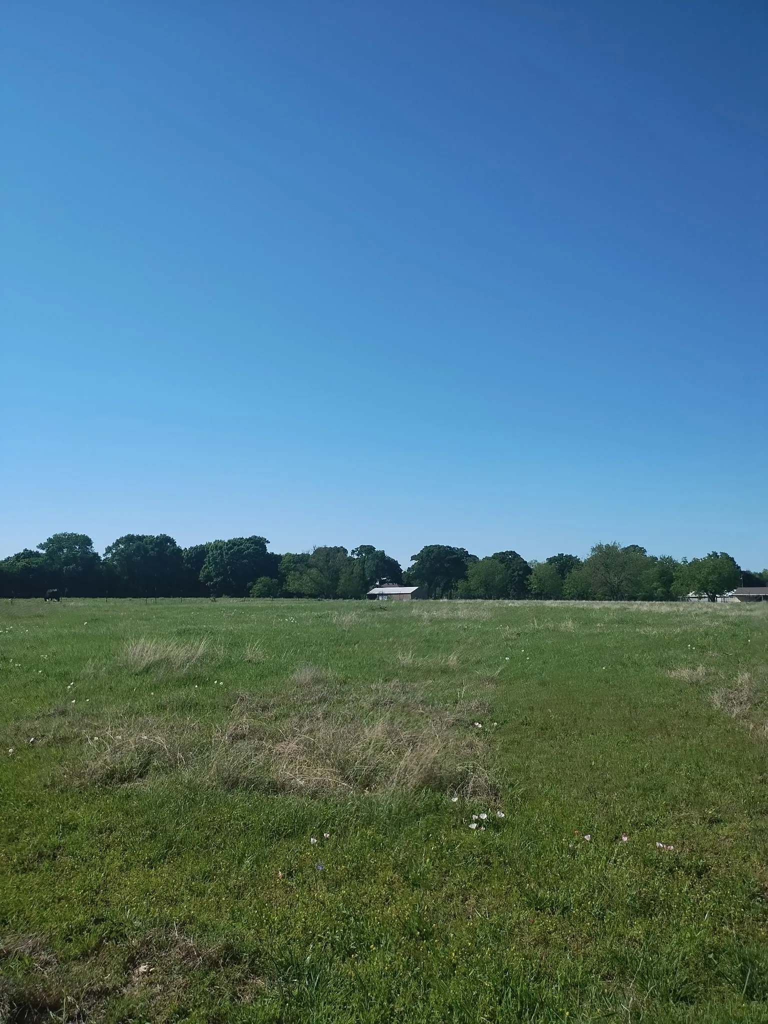 Single Family Residence For Sale in Grayson County , 4440 Dripping Springs Road, Sherman, Texas 75090, 3 Bedroom, 2 Bathroom, Garage spaces, 1,286 Sqft, built in 2001, Preowned, Price $380,000, mls#21228256, Real Estate Agent in Sherman, Homes For Sale in Grayson county, Homes For Sale in Sherman, Realtor in Sherman Texas, Real Estate Brokerage Independent Realty Texas, Luminita Cordes Realtor