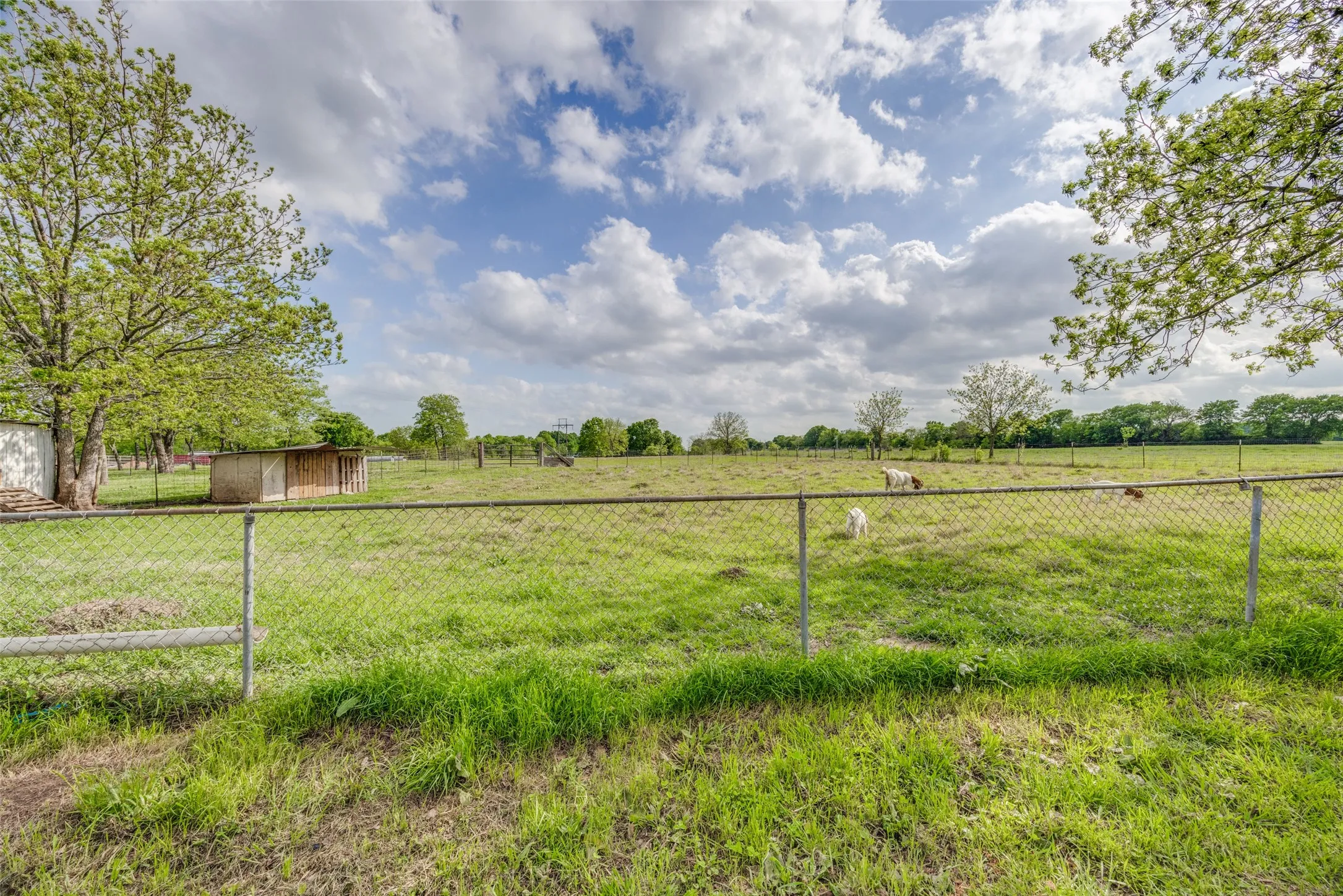 Single Family Residence For Sale in Grayson County , 4440 Dripping Springs Road, Sherman, Texas 75090, 3 Bedroom, 2 Bathroom, Garage spaces, 1,286 Sqft, built in 2001, Preowned, Price $380,000, mls#21228256, Real Estate Agent in Sherman, Homes For Sale in Grayson county, Homes For Sale in Sherman, Realtor in Sherman Texas, Real Estate Brokerage Independent Realty Texas, Luminita Cordes Realtor