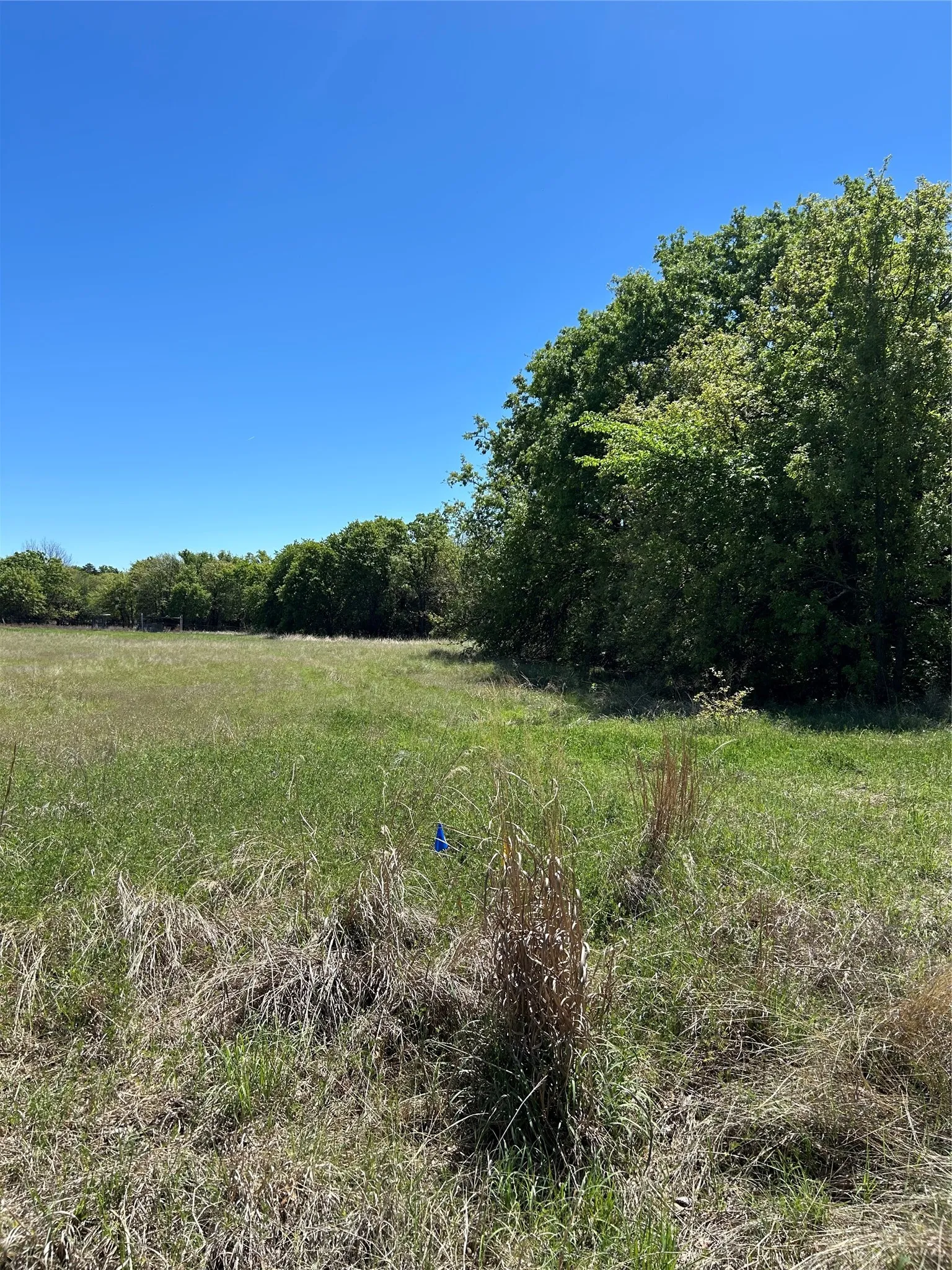 Unimproved Land For Sale in Montague County , 3300 Upper Montague Road, Bowie, Texas 76230, 0, 0, Garage spaces, 0 Sqft, built in 0, mls#21239568, Real Estate Agent in Bowie, Homes For Sale in Montague county, Homes For Sale in Bowie, Realtor in Bowie Texas, Real Estate Brokerage Independent Realty Texas, Luminita Cordes Realtor