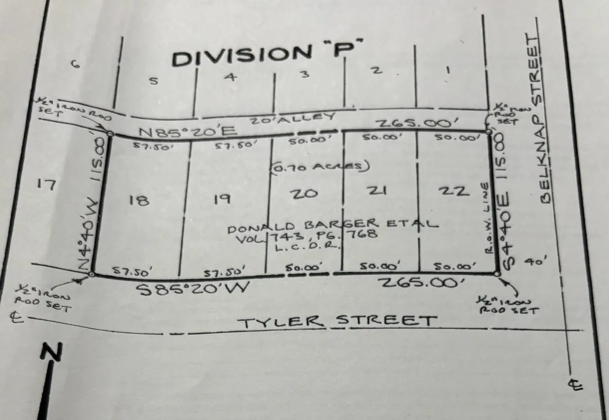 In the pictures the Alley is over grown and can't visible see it.