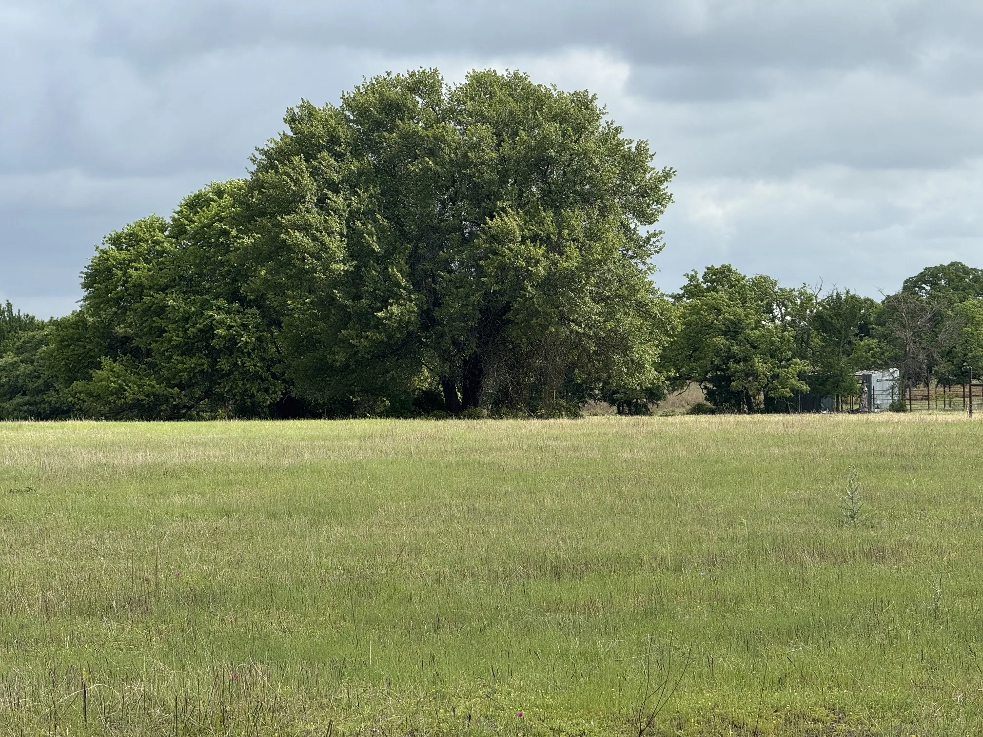 Unimproved Land For Sale in Palo Pinto County , 1438 Kite Road, Mineral Wells, Texas 76067, 0, 0, Garage spaces, 0 Sqft, built in 0, mls#21238141, Real Estate Agent in Mineral Wells, Homes For Sale in Palo Pinto county, Homes For Sale in Mineral Wells, Realtor in Mineral Wells Texas, Real Estate Brokerage Independent Realty Texas, Luminita Cordes Realtor