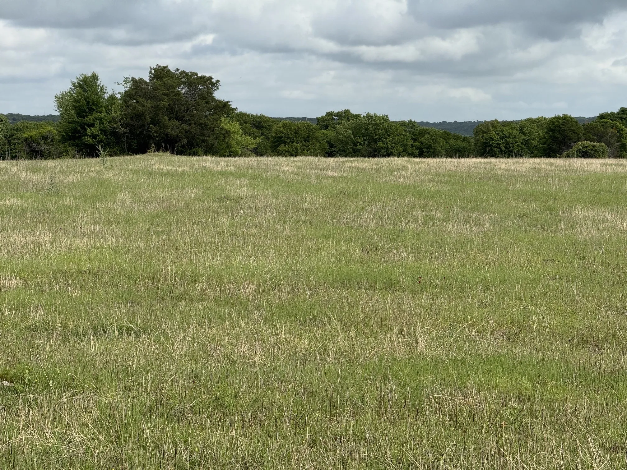 Unimproved Land For Sale in Palo Pinto County , 1438 Kite Road, Mineral Wells, Texas 76067, 0, 0, Garage spaces, 0 Sqft, built in 0, mls#21238141, Real Estate Agent in Mineral Wells, Homes For Sale in Palo Pinto county, Homes For Sale in Mineral Wells, Realtor in Mineral Wells Texas, Real Estate Brokerage Independent Realty Texas, Luminita Cordes Realtor