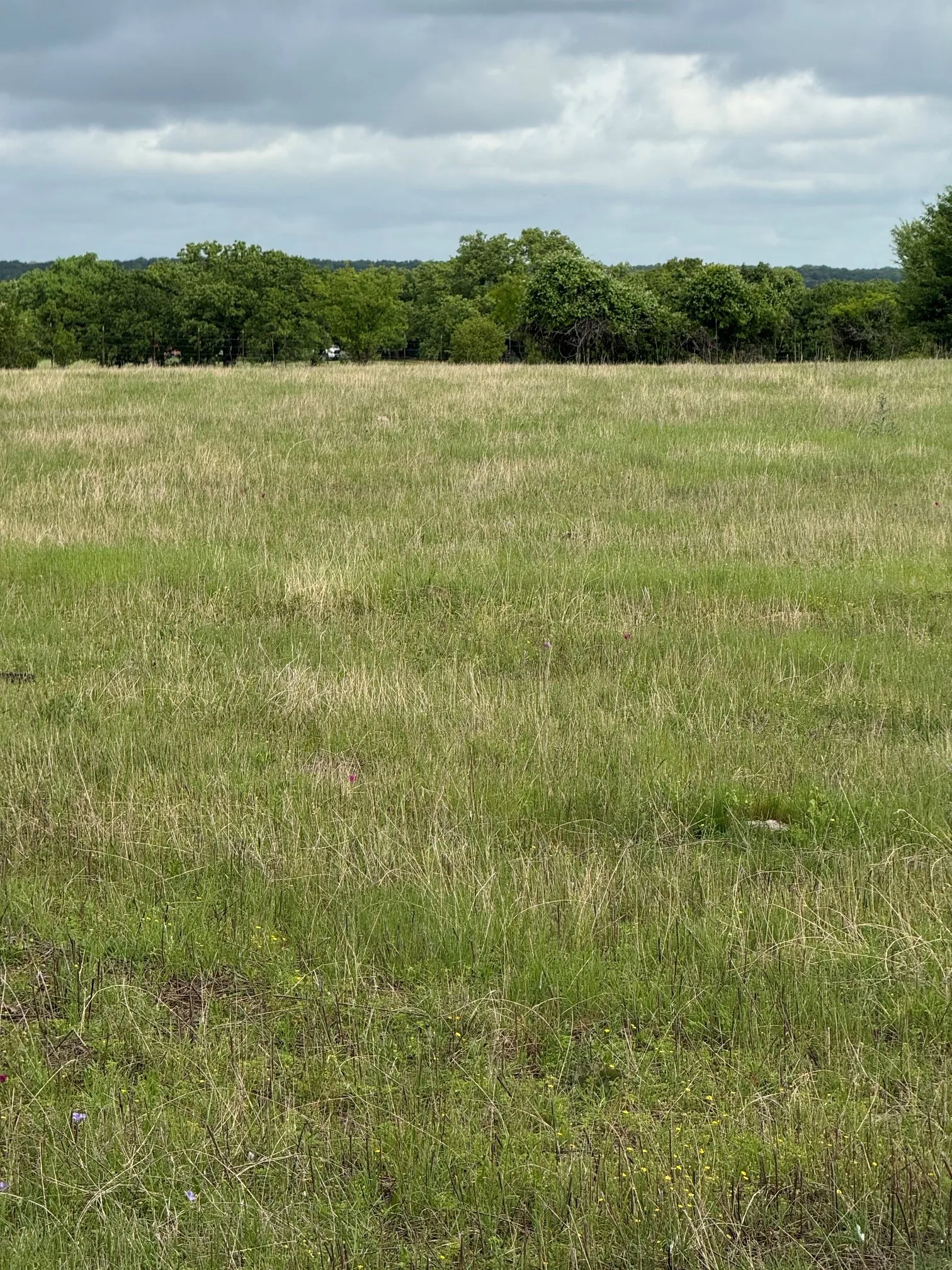 Unimproved Land For Sale in Palo Pinto County , 1438 Kite Road, Mineral Wells, Texas 76067, 0, 0, Garage spaces, 0 Sqft, built in 0, mls#21238141, Real Estate Agent in Mineral Wells, Homes For Sale in Palo Pinto county, Homes For Sale in Mineral Wells, Realtor in Mineral Wells Texas, Real Estate Brokerage Independent Realty Texas, Luminita Cordes Realtor