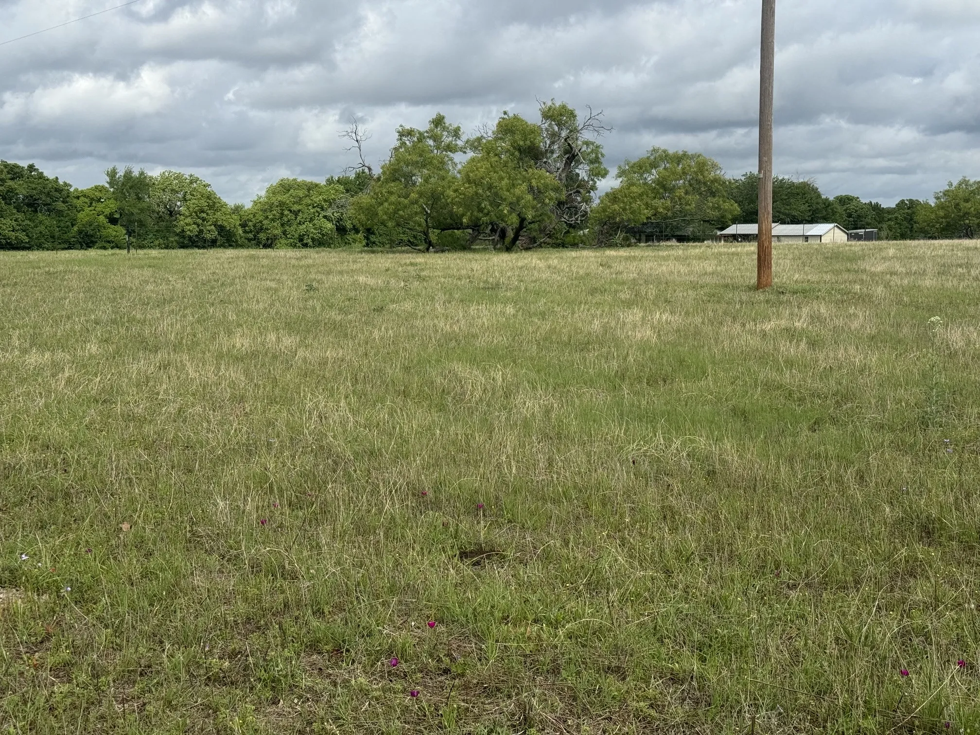 Unimproved Land For Sale in Palo Pinto County , 1438 Kite Road, Mineral Wells, Texas 76067, 0, 0, Garage spaces, 0 Sqft, built in 0, mls#21238141, Real Estate Agent in Mineral Wells, Homes For Sale in Palo Pinto county, Homes For Sale in Mineral Wells, Realtor in Mineral Wells Texas, Real Estate Brokerage Independent Realty Texas, Luminita Cordes Realtor