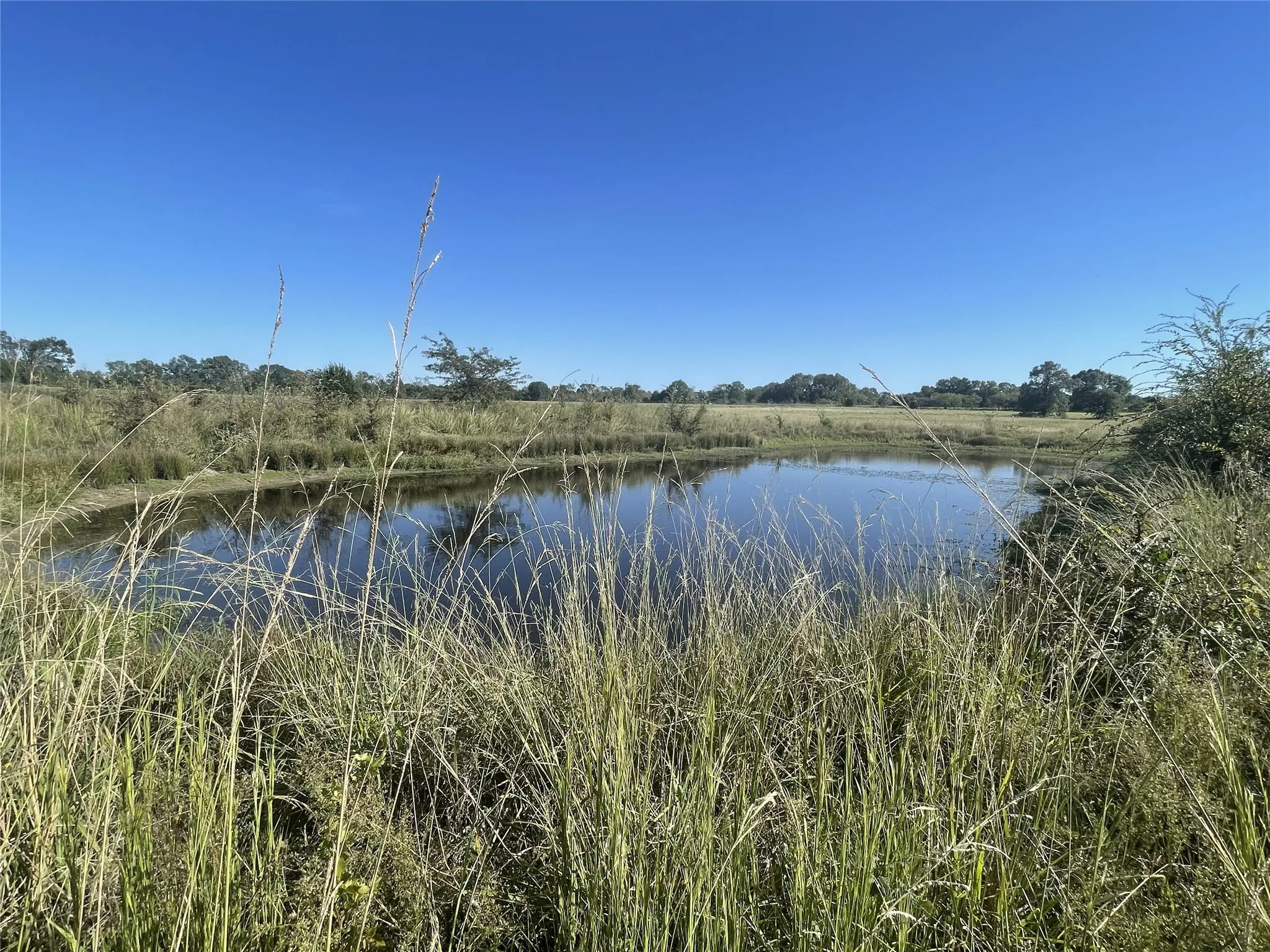 Unimproved Land For Sale in Van Zandt County , 321 Private Road 6815, Eustace, Texas 75124, 0, 0, Garage spaces, 0 Sqft, built in 0, Price $1,596,000, mls#21226977, Real Estate Agent in Eustace, Homes For Sale in Van Zandt county, Homes For Sale in Eustace, Realtor in Eustace Texas, Real Estate Brokerage Independent Realty Texas, Luminita Cordes Realtor