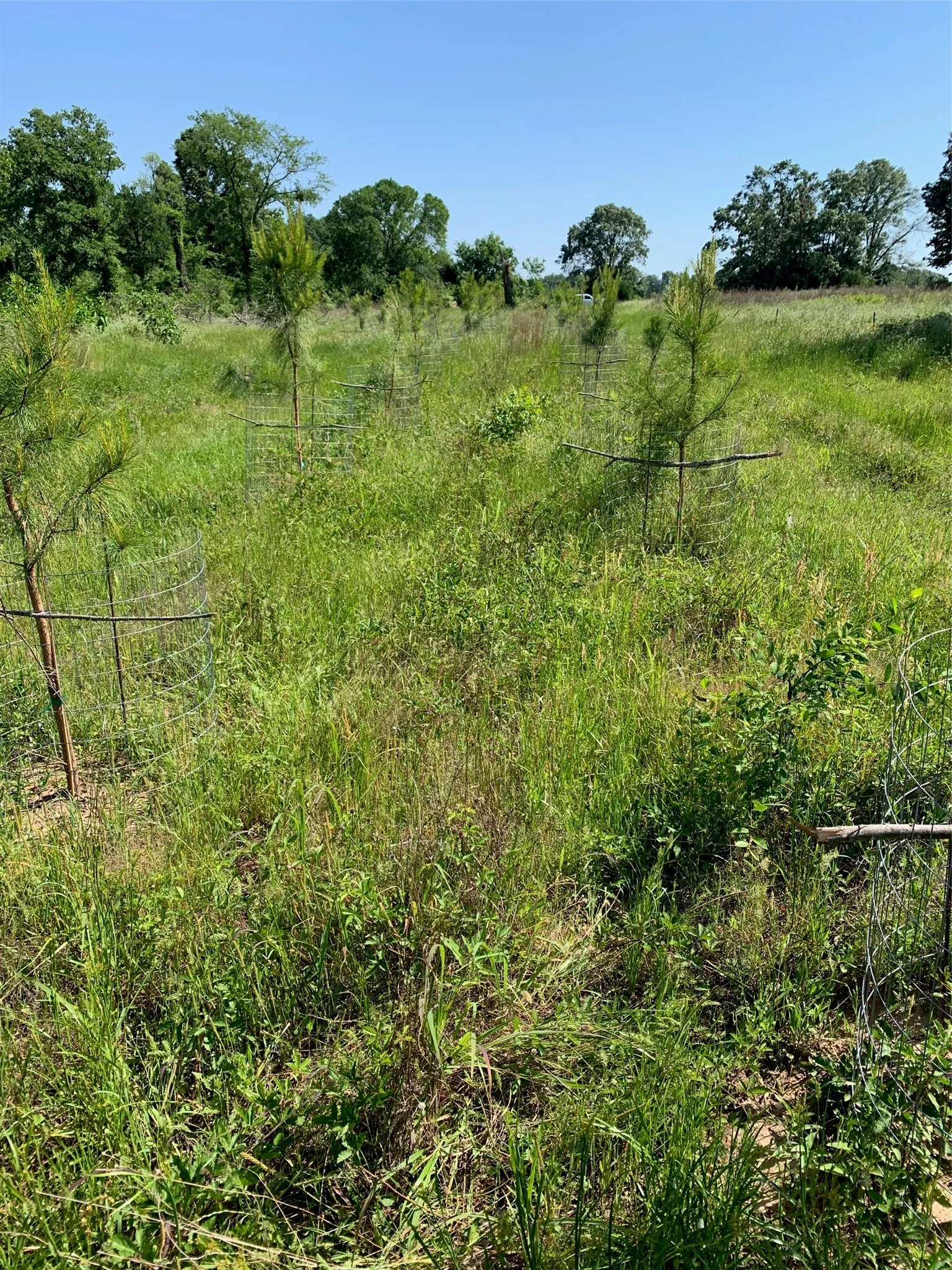 Unimproved Land For Sale in Van Zandt County , 321 Private Road 6815, Eustace, Texas 75124, 0, 0, Garage spaces, 0 Sqft, built in 0, Price $1,596,000, mls#21226977, Real Estate Agent in Eustace, Homes For Sale in Van Zandt county, Homes For Sale in Eustace, Realtor in Eustace Texas, Real Estate Brokerage Independent Realty Texas, Luminita Cordes Realtor