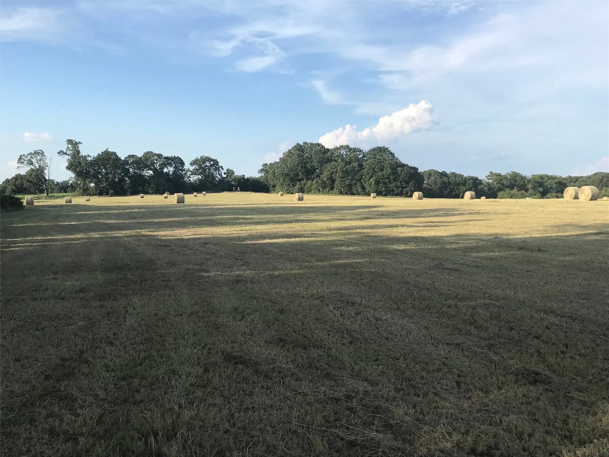 Unimproved Land For Sale in Van Zandt County , 321 Private Road 6815, Eustace, Texas 75124, 0, 0, Garage spaces, 0 Sqft, built in 0, Price $1,596,000, mls#21226977, Real Estate Agent in Eustace, Homes For Sale in Van Zandt county, Homes For Sale in Eustace, Realtor in Eustace Texas, Real Estate Brokerage Independent Realty Texas, Luminita Cordes Realtor