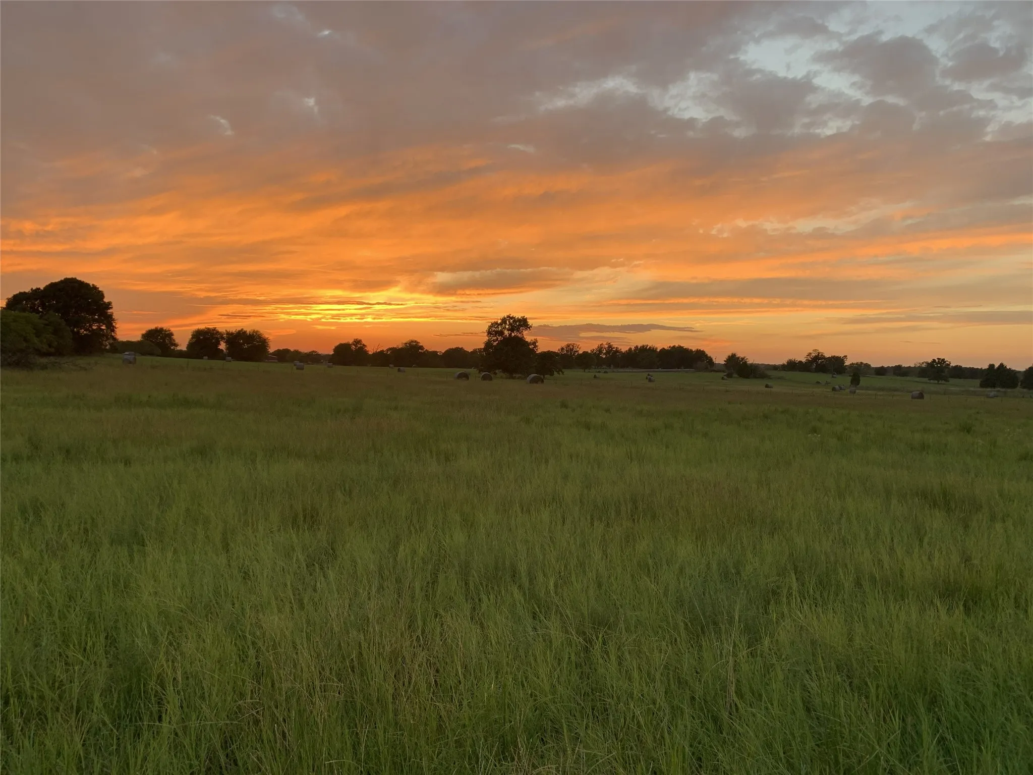 Unimproved Land For Sale in Van Zandt County , 321 Private Road 6815, Eustace, Texas 75124, 0, 0, Garage spaces, 0 Sqft, built in 0, Price $1,596,000, mls#21226977, Real Estate Agent in Eustace, Homes For Sale in Van Zandt county, Homes For Sale in Eustace, Realtor in Eustace Texas, Real Estate Brokerage Independent Realty Texas, Luminita Cordes Realtor