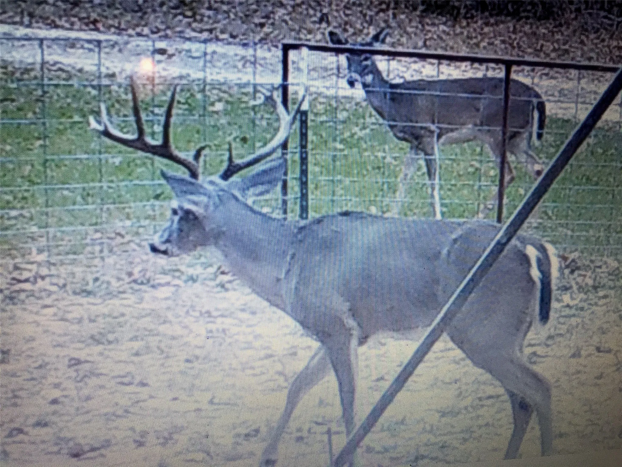 Unimproved Land For Sale in Van Zandt County , 321 Private Road 6815, Eustace, Texas 75124, 0, 0, Garage spaces, 0 Sqft, built in 0, Price $1,596,000, mls#21226977, Real Estate Agent in Eustace, Homes For Sale in Van Zandt county, Homes For Sale in Eustace, Realtor in Eustace Texas, Real Estate Brokerage Independent Realty Texas, Luminita Cordes Realtor