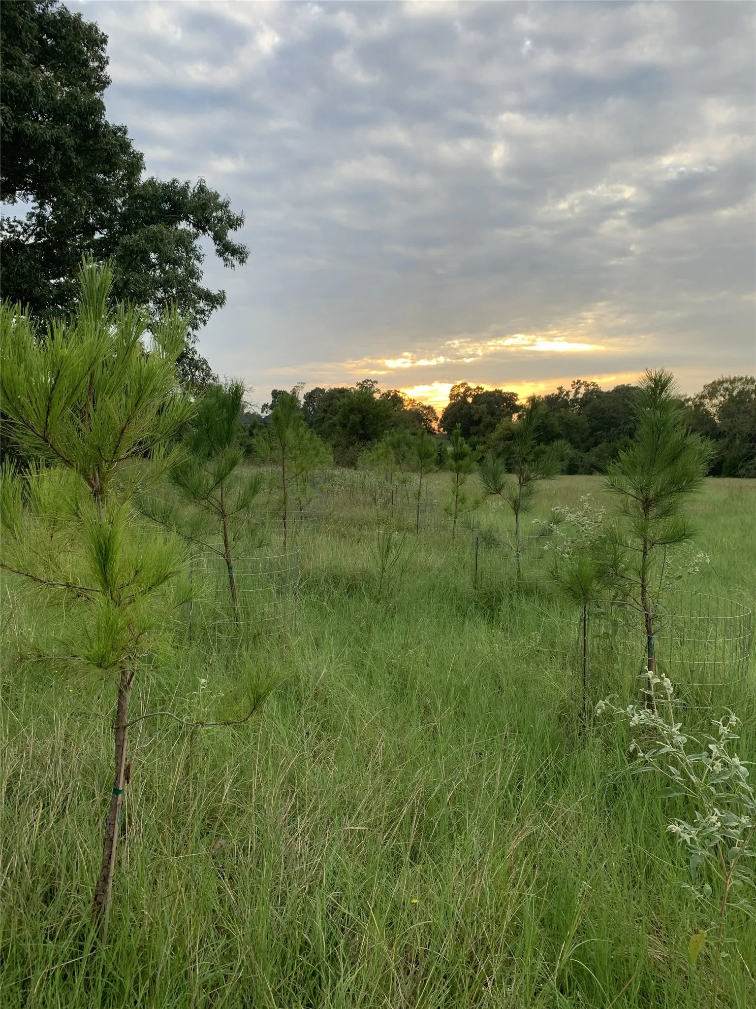 Unimproved Land For Sale in Van Zandt County , 321 Private Road 6815, Eustace, Texas 75124, 0, 0, Garage spaces, 0 Sqft, built in 0, Price $1,596,000, mls#21226977, Real Estate Agent in Eustace, Homes For Sale in Van Zandt county, Homes For Sale in Eustace, Realtor in Eustace Texas, Real Estate Brokerage Independent Realty Texas, Luminita Cordes Realtor