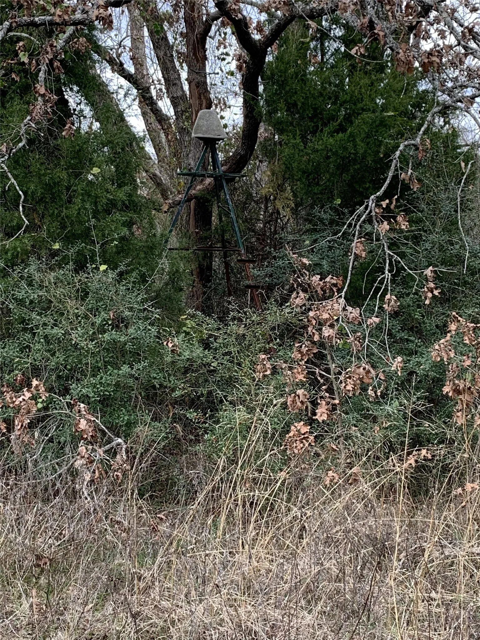 Unimproved Land For Sale in Van Zandt County , 321 Private Road 6815, Eustace, Texas 75124, 0, 0, Garage spaces, 0 Sqft, built in 0, Price $1,596,000, mls#21226977, Real Estate Agent in Eustace, Homes For Sale in Van Zandt county, Homes For Sale in Eustace, Realtor in Eustace Texas, Real Estate Brokerage Independent Realty Texas, Luminita Cordes Realtor