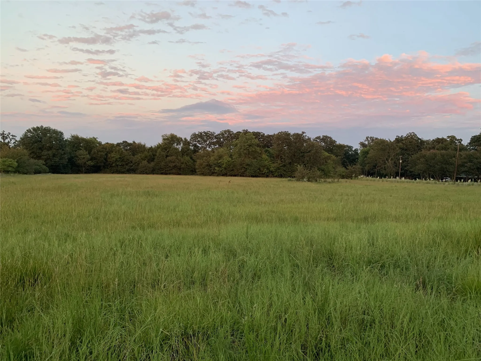 Unimproved Land For Sale in Van Zandt County , 321 Private Road 6815, Eustace, Texas 75124, 0, 0, Garage spaces, 0 Sqft, built in 0, Price $1,596,000, mls#21226977, Real Estate Agent in Eustace, Homes For Sale in Van Zandt county, Homes For Sale in Eustace, Realtor in Eustace Texas, Real Estate Brokerage Independent Realty Texas, Luminita Cordes Realtor
