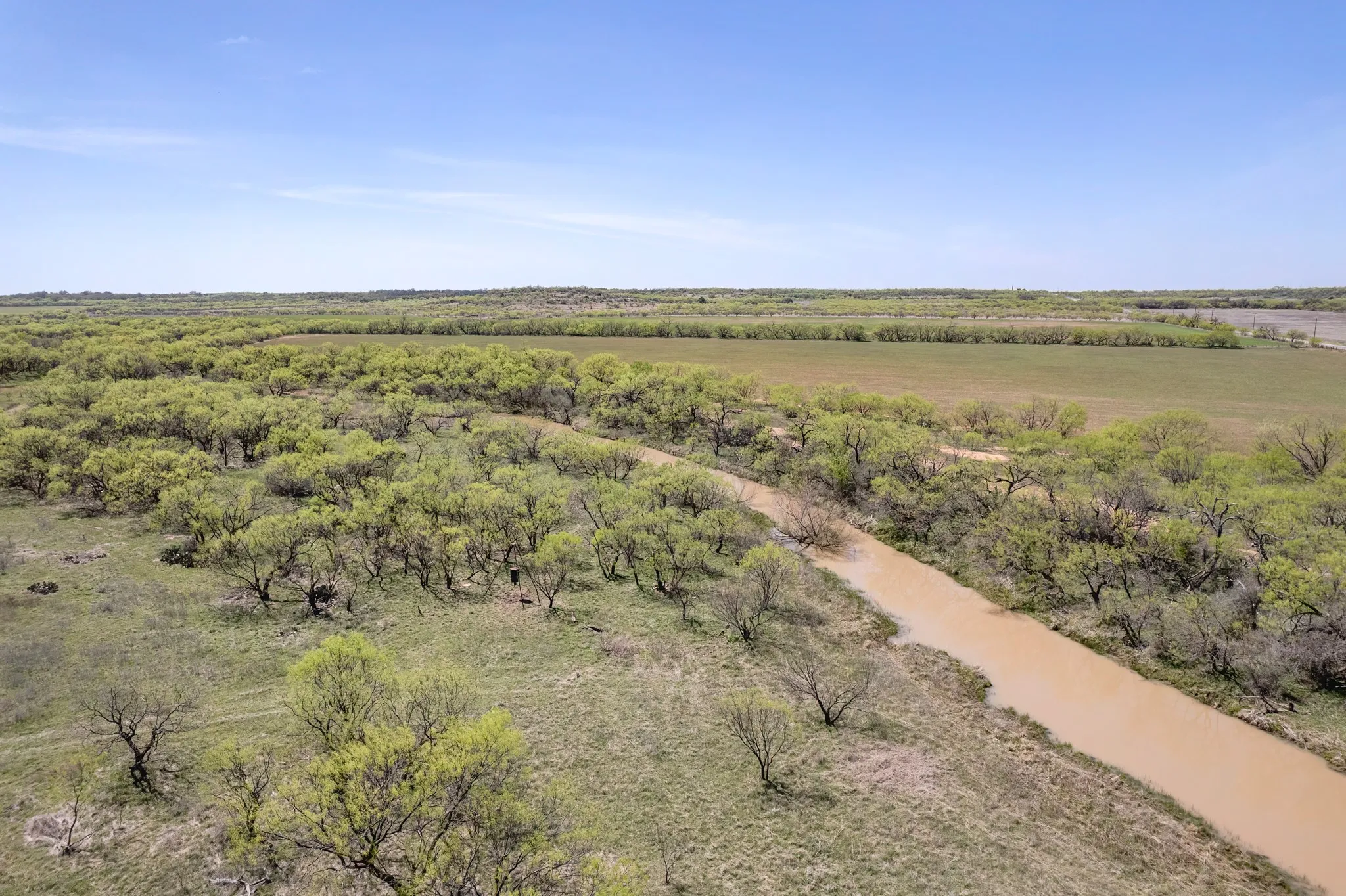Ranch For Sale in Coleman County , TBD FM 568, Coleman, Texas 76834, 0, 0, Garage spaces, 0 Sqft, built in 0, Price $1,264,500, mls#21223428, Real Estate Agent in Coleman, Homes For Sale in Coleman county, Homes For Sale in Coleman, Realtor in Coleman Texas, Real Estate Brokerage Independent Realty Texas, Luminita Cordes Realtor