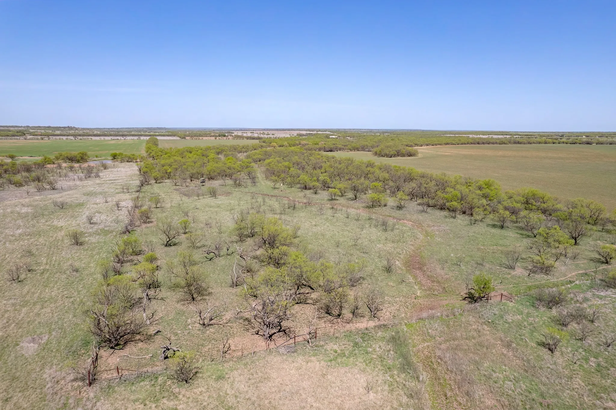 Ranch For Sale in Coleman County , TBD FM 568, Coleman, Texas 76834, 0, 0, Garage spaces, 0 Sqft, built in 0, Price $1,264,500, mls#21223428, Real Estate Agent in Coleman, Homes For Sale in Coleman county, Homes For Sale in Coleman, Realtor in Coleman Texas, Real Estate Brokerage Independent Realty Texas, Luminita Cordes Realtor
