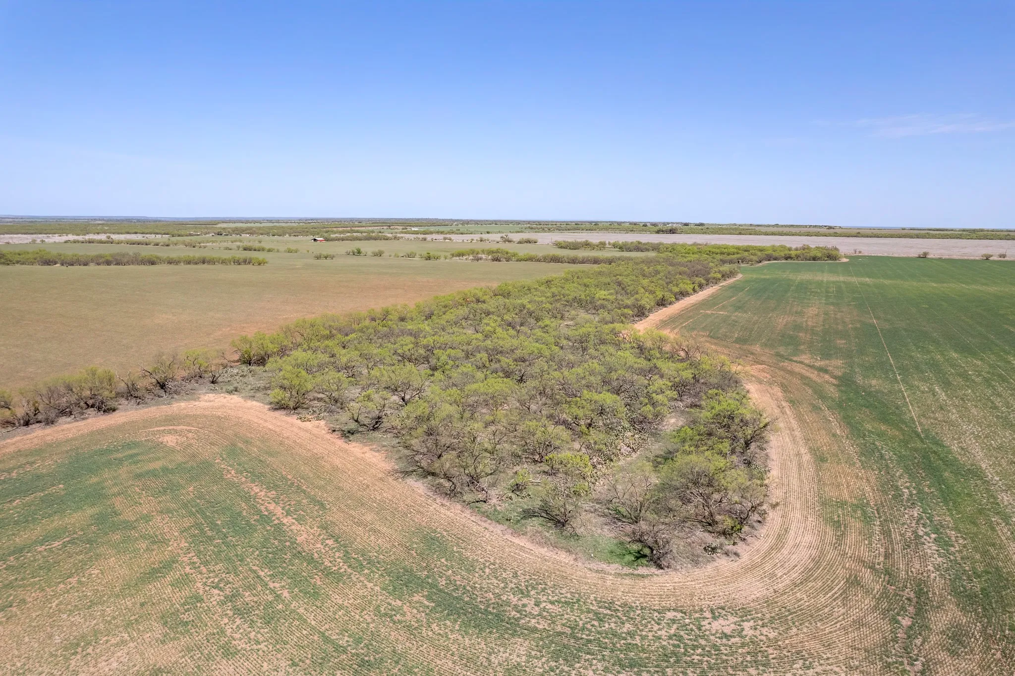 Ranch For Sale in Coleman County , TBD FM 568, Coleman, Texas 76834, 0, 0, Garage spaces, 0 Sqft, built in 0, Price $1,264,500, mls#21223428, Real Estate Agent in Coleman, Homes For Sale in Coleman county, Homes For Sale in Coleman, Realtor in Coleman Texas, Real Estate Brokerage Independent Realty Texas, Luminita Cordes Realtor