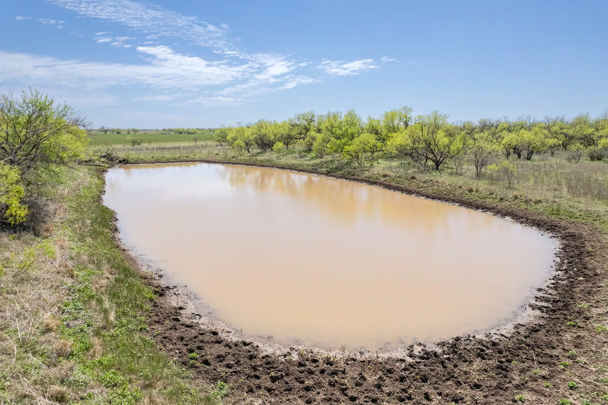 Ranch For Sale in Coleman County , TBD FM 568, Coleman, Texas 76834, 0, 0, Garage spaces, 0 Sqft, built in 0, Price $1,264,500, mls#21223428, Real Estate Agent in Coleman, Homes For Sale in Coleman county, Homes For Sale in Coleman, Realtor in Coleman Texas, Real Estate Brokerage Independent Realty Texas, Luminita Cordes Realtor