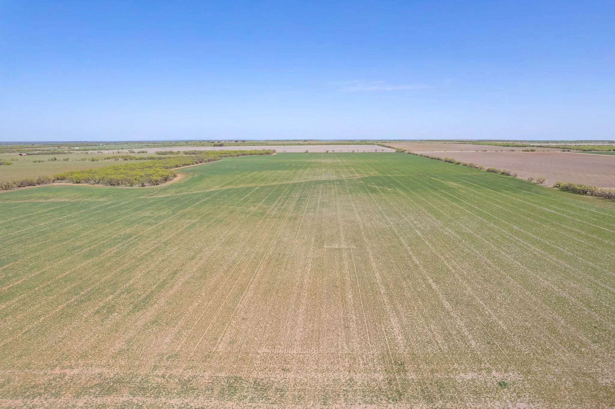 Ranch For Sale in Coleman County , TBD FM 568, Coleman, Texas 76834, 0, 0, Garage spaces, 0 Sqft, built in 0, Price $1,264,500, mls#21223428, Real Estate Agent in Coleman, Homes For Sale in Coleman county, Homes For Sale in Coleman, Realtor in Coleman Texas, Real Estate Brokerage Independent Realty Texas, Luminita Cordes Realtor