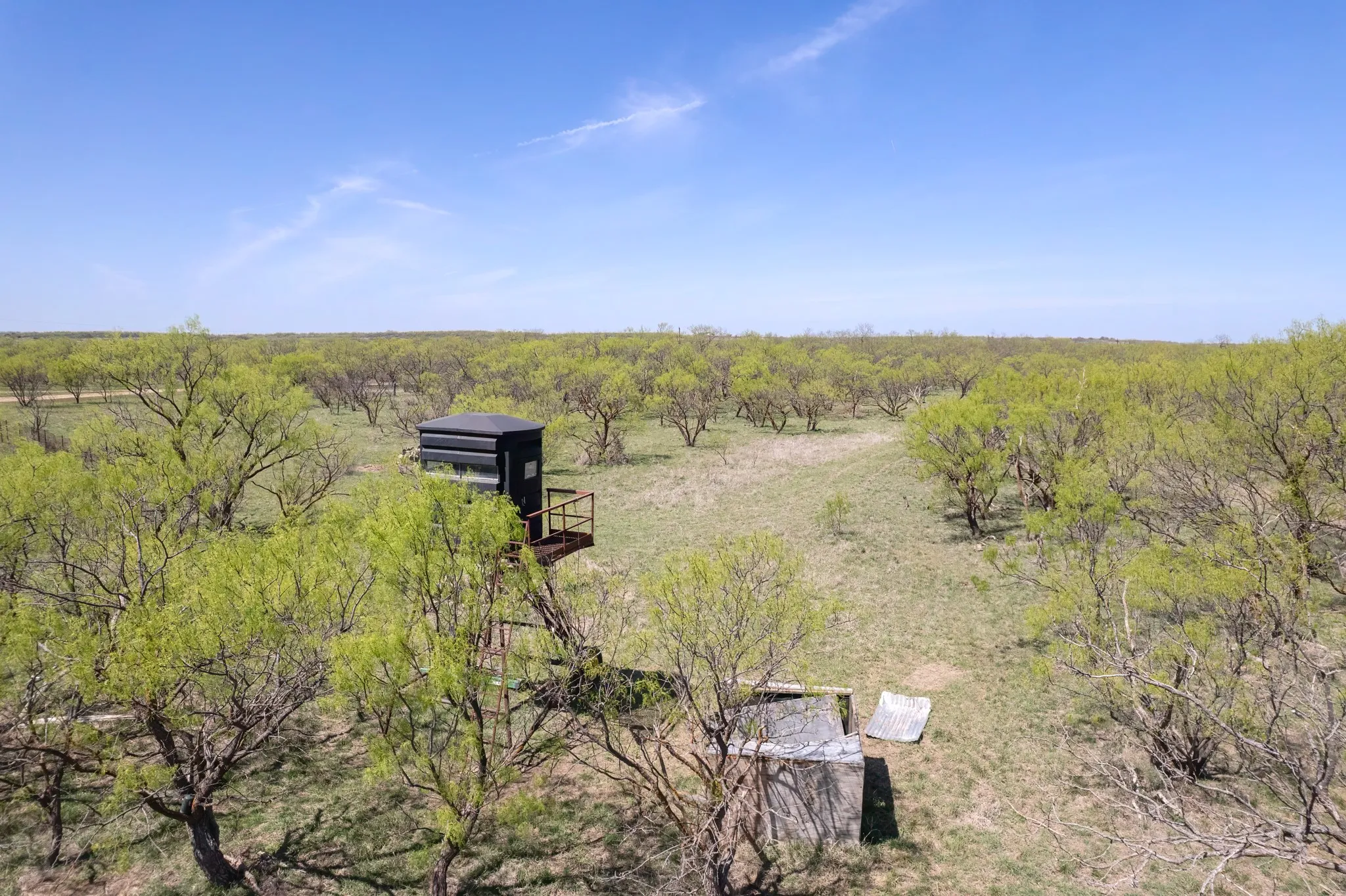 Ranch For Sale in Coleman County , TBD FM 568, Coleman, Texas 76834, 0, 0, Garage spaces, 0 Sqft, built in 0, Price $1,264,500, mls#21223428, Real Estate Agent in Coleman, Homes For Sale in Coleman county, Homes For Sale in Coleman, Realtor in Coleman Texas, Real Estate Brokerage Independent Realty Texas, Luminita Cordes Realtor