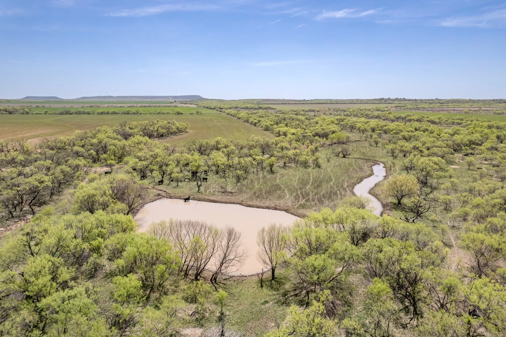 Ranch For Sale in Coleman County , TBD FM 568, Coleman, Texas 76834, 0, 0, Garage spaces, 0 Sqft, built in 0, Price $1,264,500, mls#21223428, Real Estate Agent in Coleman, Homes For Sale in Coleman county, Homes For Sale in Coleman, Realtor in Coleman Texas, Real Estate Brokerage Independent Realty Texas, Luminita Cordes Realtor