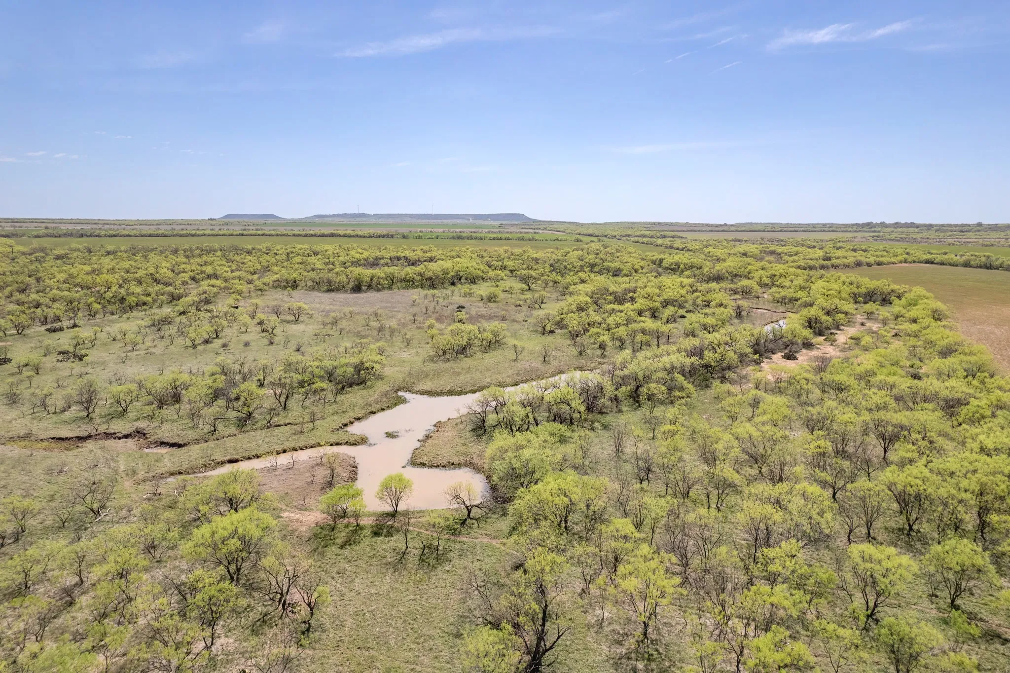 Ranch For Sale in Coleman County , TBD FM 568, Coleman, Texas 76834, 0, 0, Garage spaces, 0 Sqft, built in 0, Price $1,264,500, mls#21223428, Real Estate Agent in Coleman, Homes For Sale in Coleman county, Homes For Sale in Coleman, Realtor in Coleman Texas, Real Estate Brokerage Independent Realty Texas, Luminita Cordes Realtor