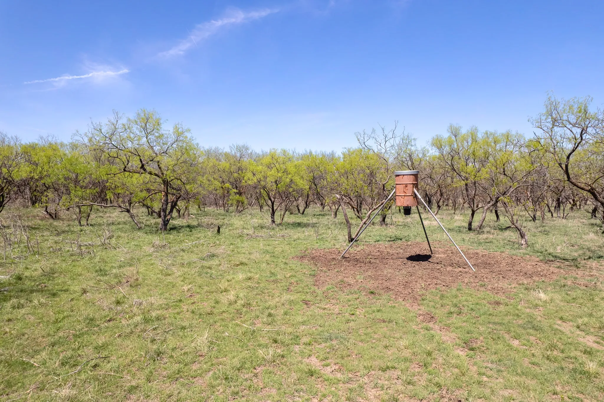 Ranch For Sale in Coleman County , TBD FM 568, Coleman, Texas 76834, 0, 0, Garage spaces, 0 Sqft, built in 0, Price $1,264,500, mls#21223428, Real Estate Agent in Coleman, Homes For Sale in Coleman county, Homes For Sale in Coleman, Realtor in Coleman Texas, Real Estate Brokerage Independent Realty Texas, Luminita Cordes Realtor