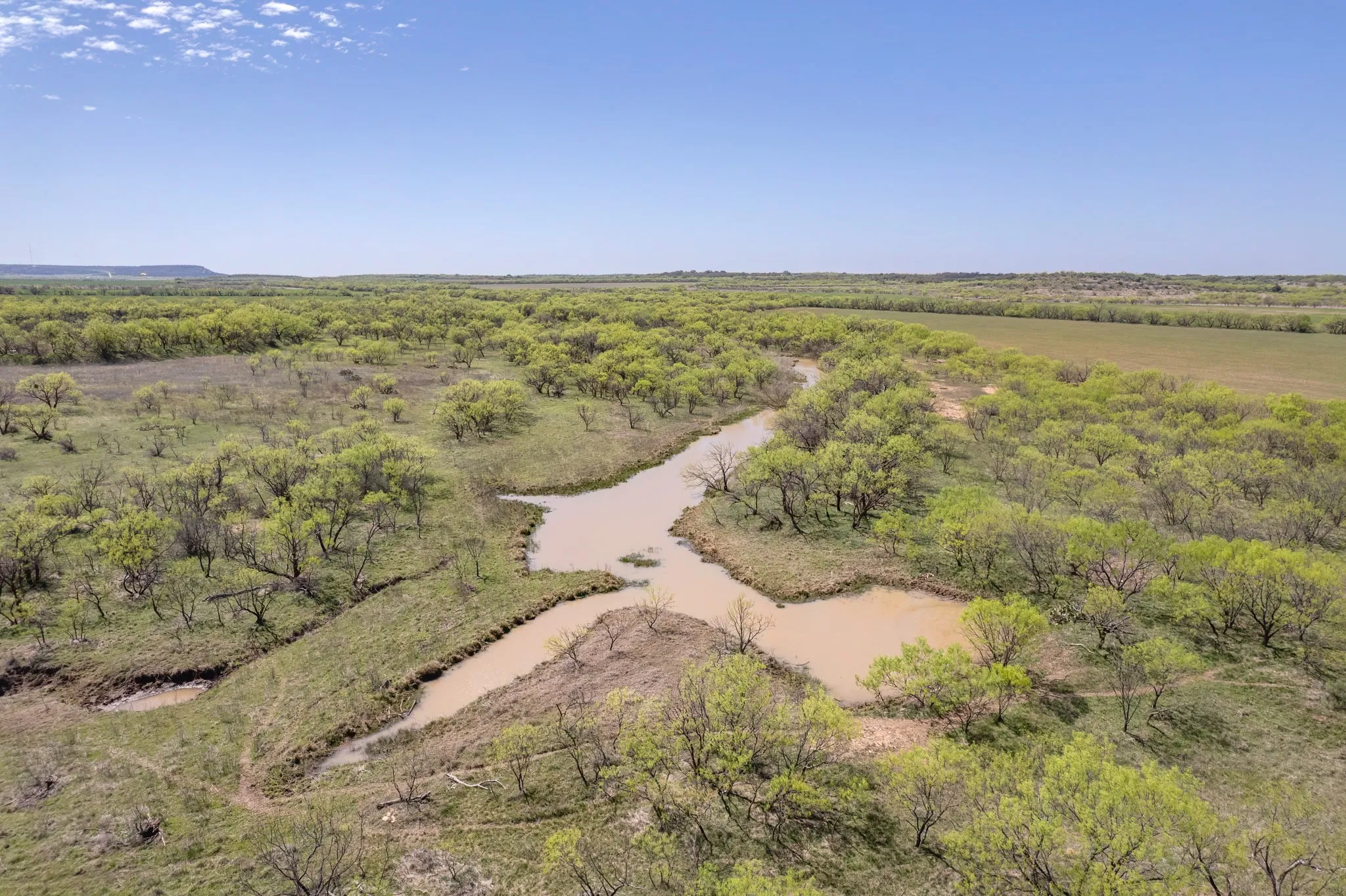 Ranch For Sale in Coleman County , TBD FM 568, Coleman, Texas 76834, 0, 0, Garage spaces, 0 Sqft, built in 0, Price $1,264,500, mls#21223428, Real Estate Agent in Coleman, Homes For Sale in Coleman county, Homes For Sale in Coleman, Realtor in Coleman Texas, Real Estate Brokerage Independent Realty Texas, Luminita Cordes Realtor