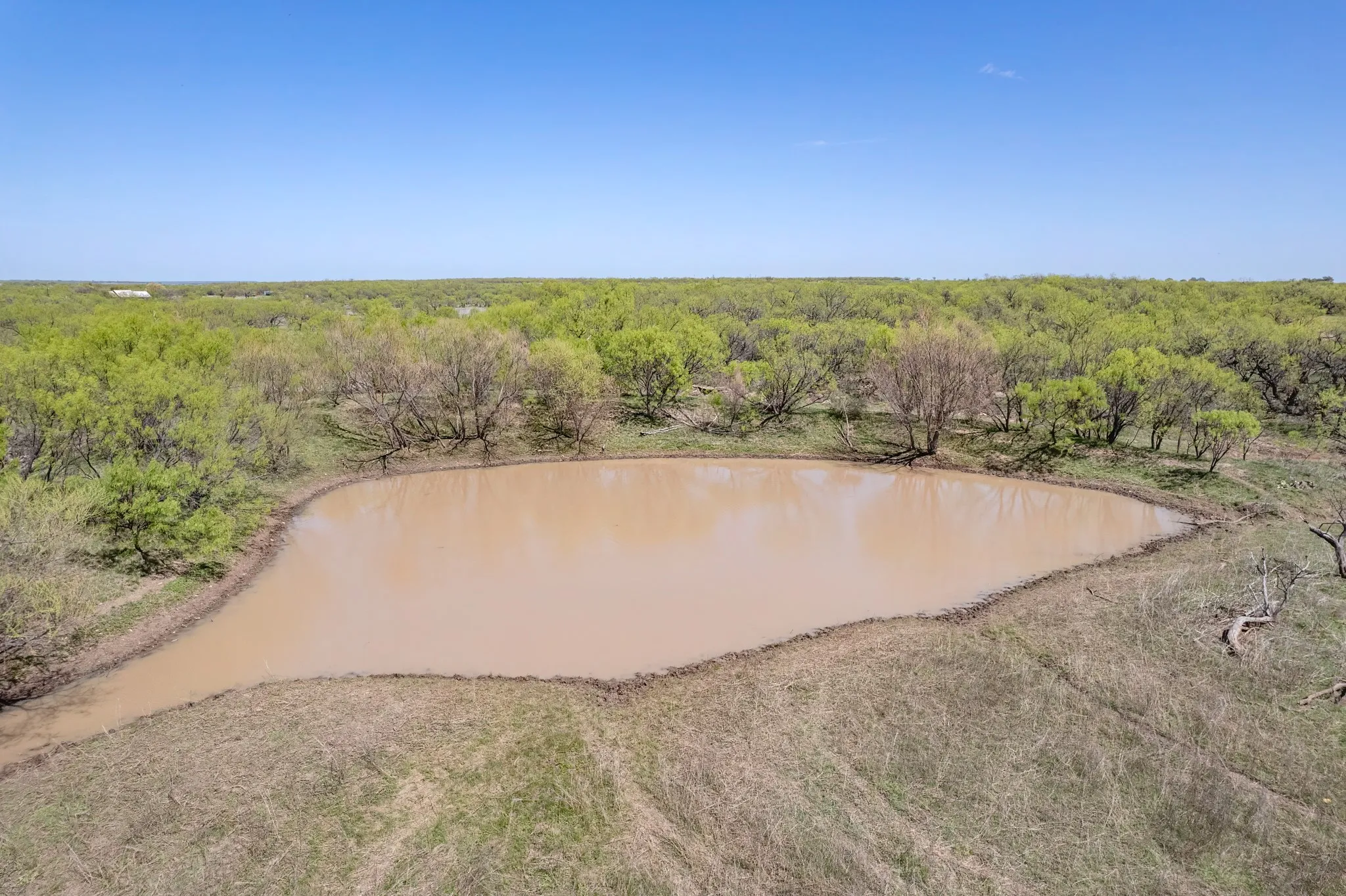 Ranch For Sale in Coleman County , TBD FM 568, Coleman, Texas 76834, 0, 0, Garage spaces, 0 Sqft, built in 0, Price $1,264,500, mls#21223428, Real Estate Agent in Coleman, Homes For Sale in Coleman county, Homes For Sale in Coleman, Realtor in Coleman Texas, Real Estate Brokerage Independent Realty Texas, Luminita Cordes Realtor