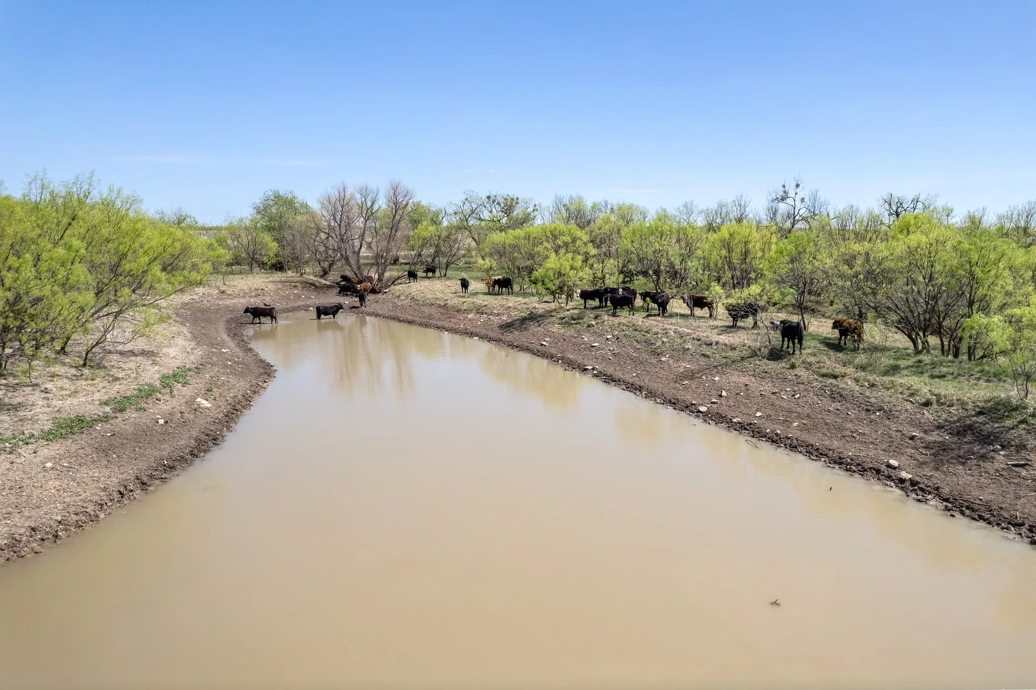 Ranch For Sale in Coleman County , TBD FM 568, Coleman, Texas 76834, 0, 0, Garage spaces, 0 Sqft, built in 0, Price $1,264,500, mls#21223428, Real Estate Agent in Coleman, Homes For Sale in Coleman county, Homes For Sale in Coleman, Realtor in Coleman Texas, Real Estate Brokerage Independent Realty Texas, Luminita Cordes Realtor