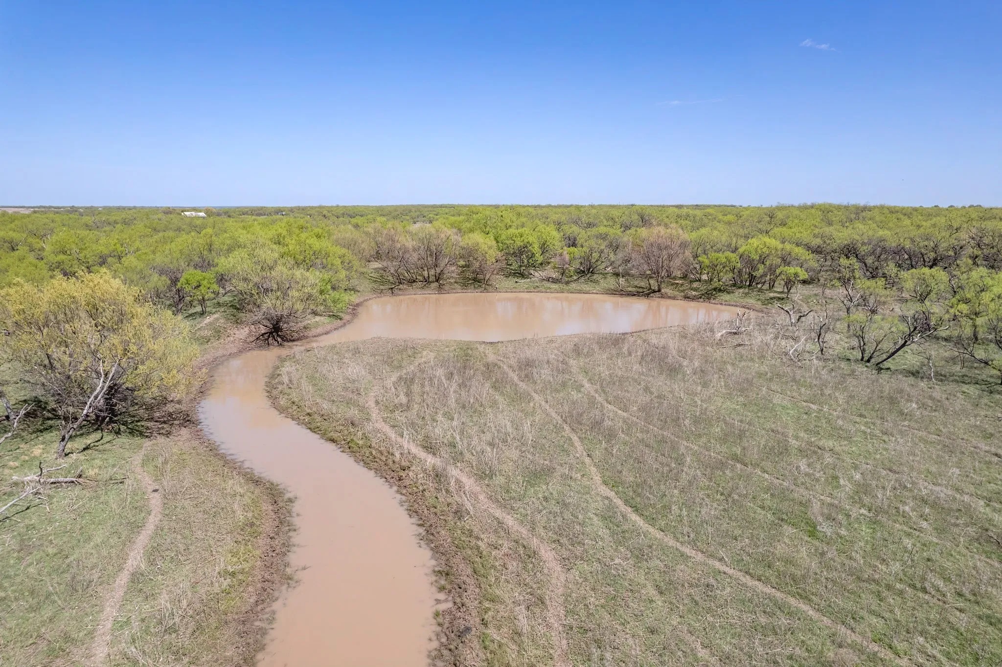Ranch For Sale in Coleman County , TBD FM 568, Coleman, Texas 76834, 0, 0, Garage spaces, 0 Sqft, built in 0, Price $1,264,500, mls#21223428, Real Estate Agent in Coleman, Homes For Sale in Coleman county, Homes For Sale in Coleman, Realtor in Coleman Texas, Real Estate Brokerage Independent Realty Texas, Luminita Cordes Realtor