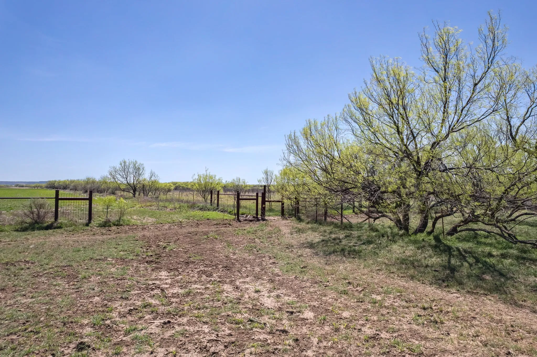 Ranch For Sale in Coleman County , TBD FM 568, Coleman, Texas 76834, 0, 0, Garage spaces, 0 Sqft, built in 0, Price $1,264,500, mls#21223428, Real Estate Agent in Coleman, Homes For Sale in Coleman county, Homes For Sale in Coleman, Realtor in Coleman Texas, Real Estate Brokerage Independent Realty Texas, Luminita Cordes Realtor