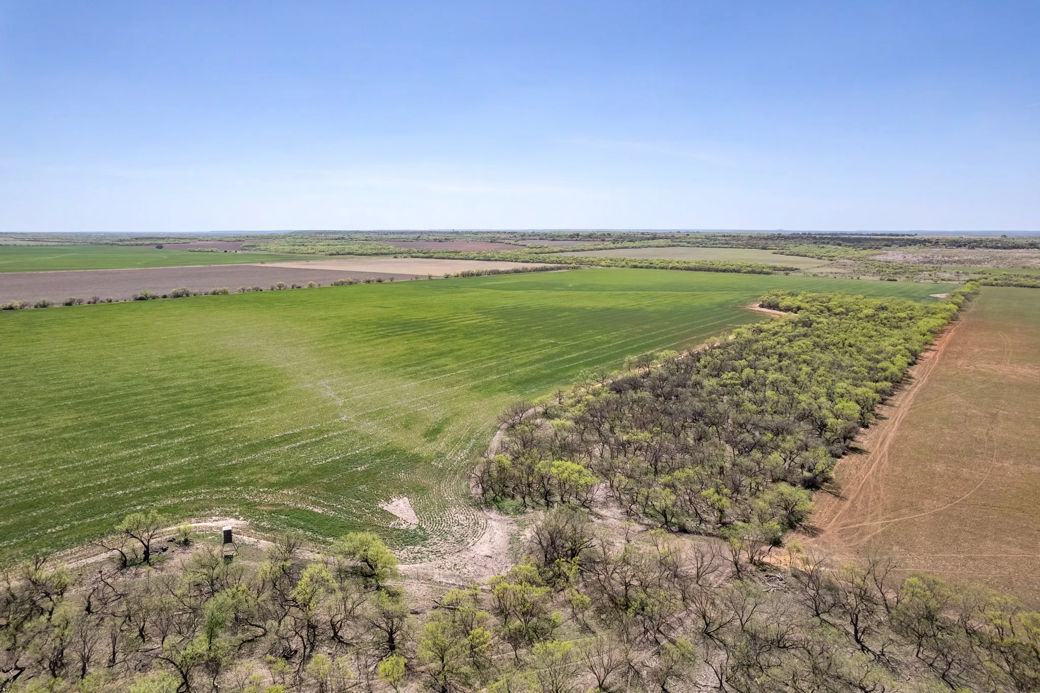 Ranch For Sale in Coleman County , TBD FM 568, Coleman, Texas 76834, 0, 0, Garage spaces, 0 Sqft, built in 0, Price $1,264,500, mls#21223428, Real Estate Agent in Coleman, Homes For Sale in Coleman county, Homes For Sale in Coleman, Realtor in Coleman Texas, Real Estate Brokerage Independent Realty Texas, Luminita Cordes Realtor