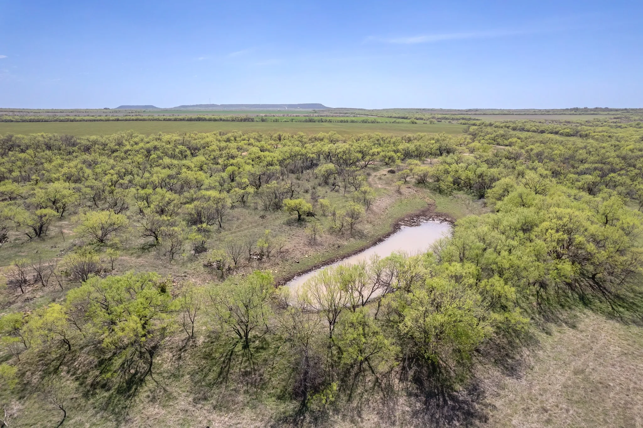 Ranch For Sale in Coleman County , TBD FM 568, Coleman, Texas 76834, 0, 0, Garage spaces, 0 Sqft, built in 0, Price $1,264,500, mls#21223428, Real Estate Agent in Coleman, Homes For Sale in Coleman county, Homes For Sale in Coleman, Realtor in Coleman Texas, Real Estate Brokerage Independent Realty Texas, Luminita Cordes Realtor
