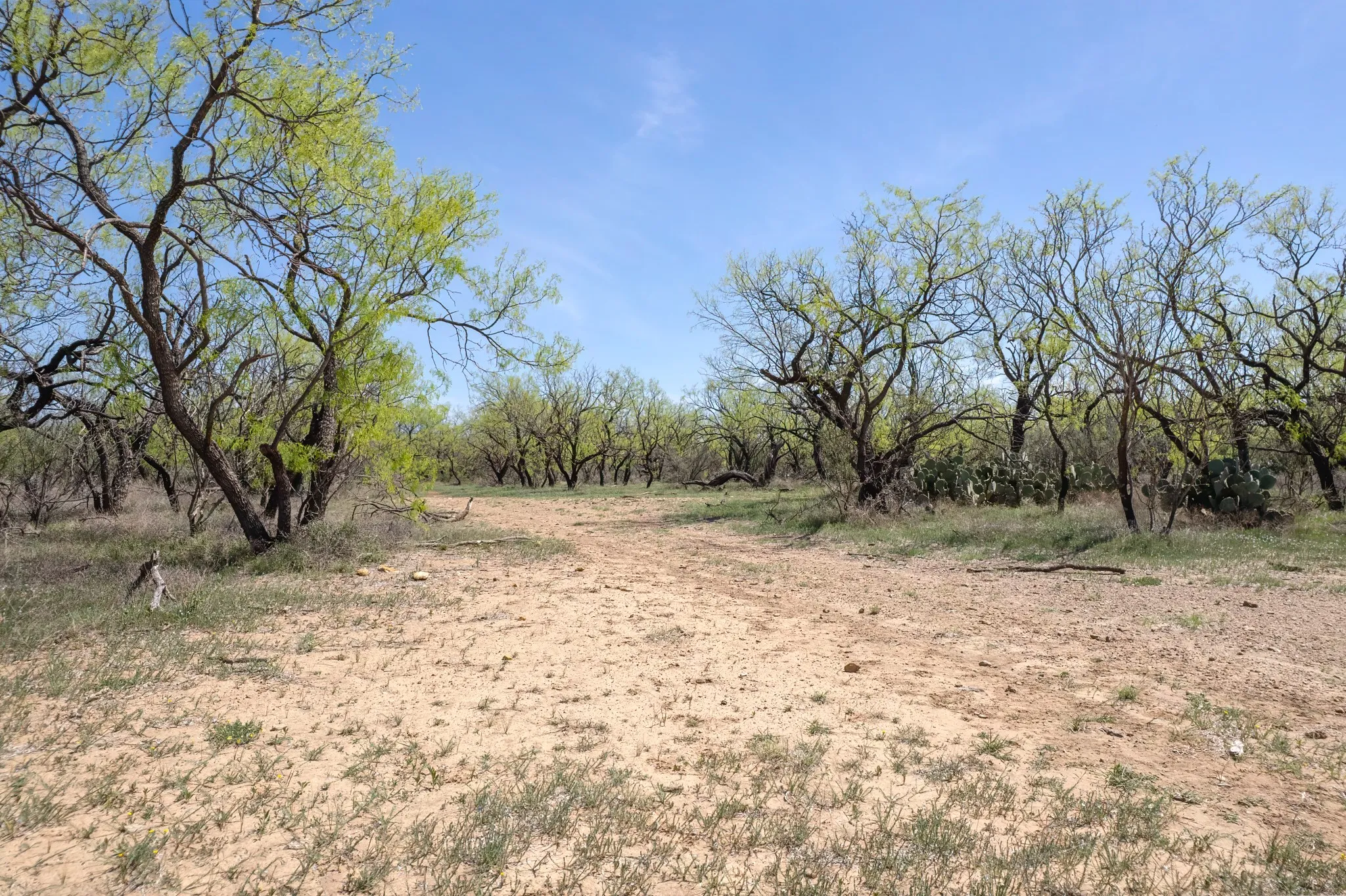 Ranch For Sale in Coleman County , TBD FM 568, Coleman, Texas 76834, 0, 0, Garage spaces, 0 Sqft, built in 0, Price $1,264,500, mls#21223428, Real Estate Agent in Coleman, Homes For Sale in Coleman county, Homes For Sale in Coleman, Realtor in Coleman Texas, Real Estate Brokerage Independent Realty Texas, Luminita Cordes Realtor