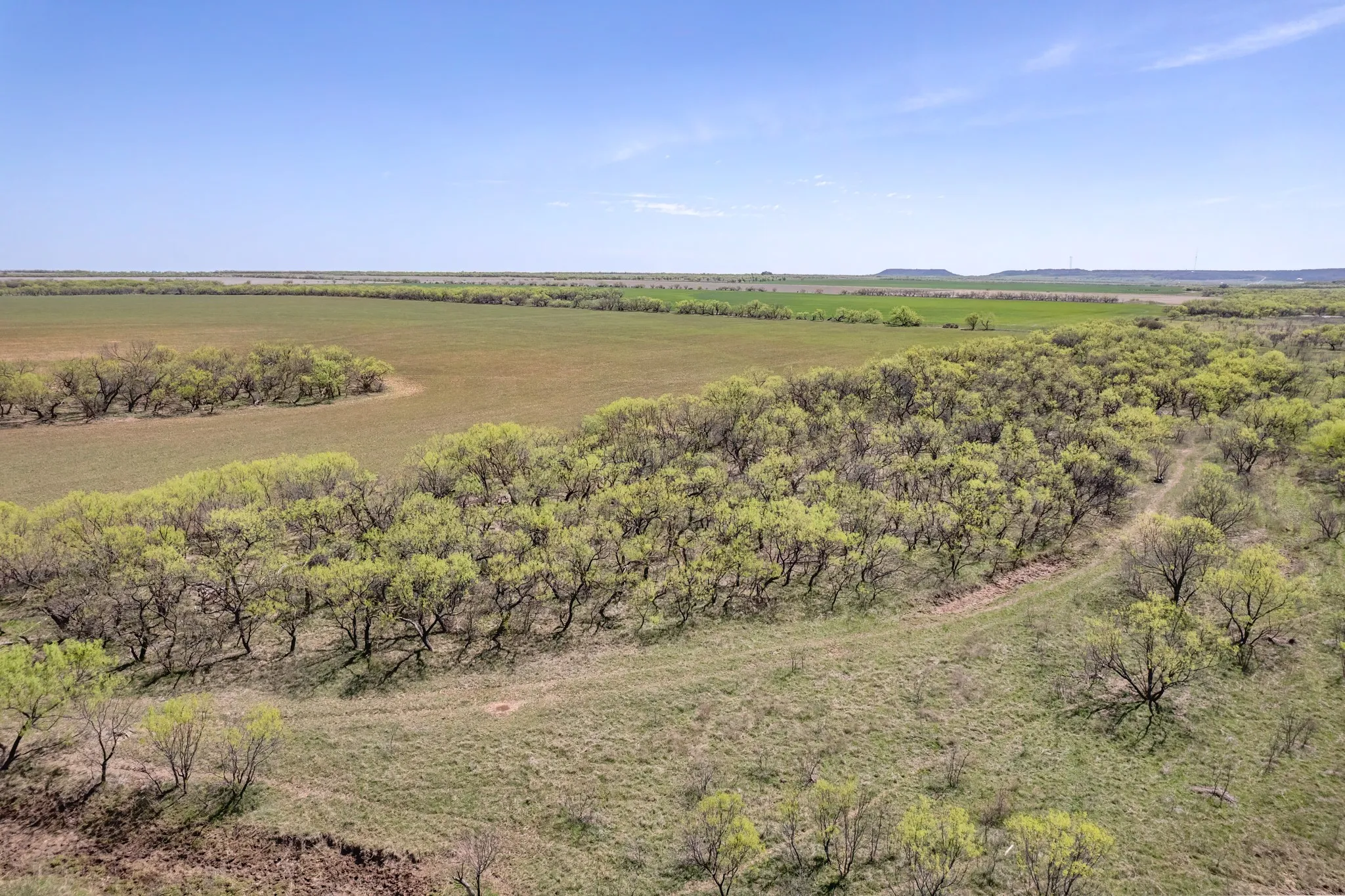 Ranch For Sale in Coleman County , TBD FM 568, Coleman, Texas 76834, 0, 0, Garage spaces, 0 Sqft, built in 0, Price $1,264,500, mls#21223428, Real Estate Agent in Coleman, Homes For Sale in Coleman county, Homes For Sale in Coleman, Realtor in Coleman Texas, Real Estate Brokerage Independent Realty Texas, Luminita Cordes Realtor