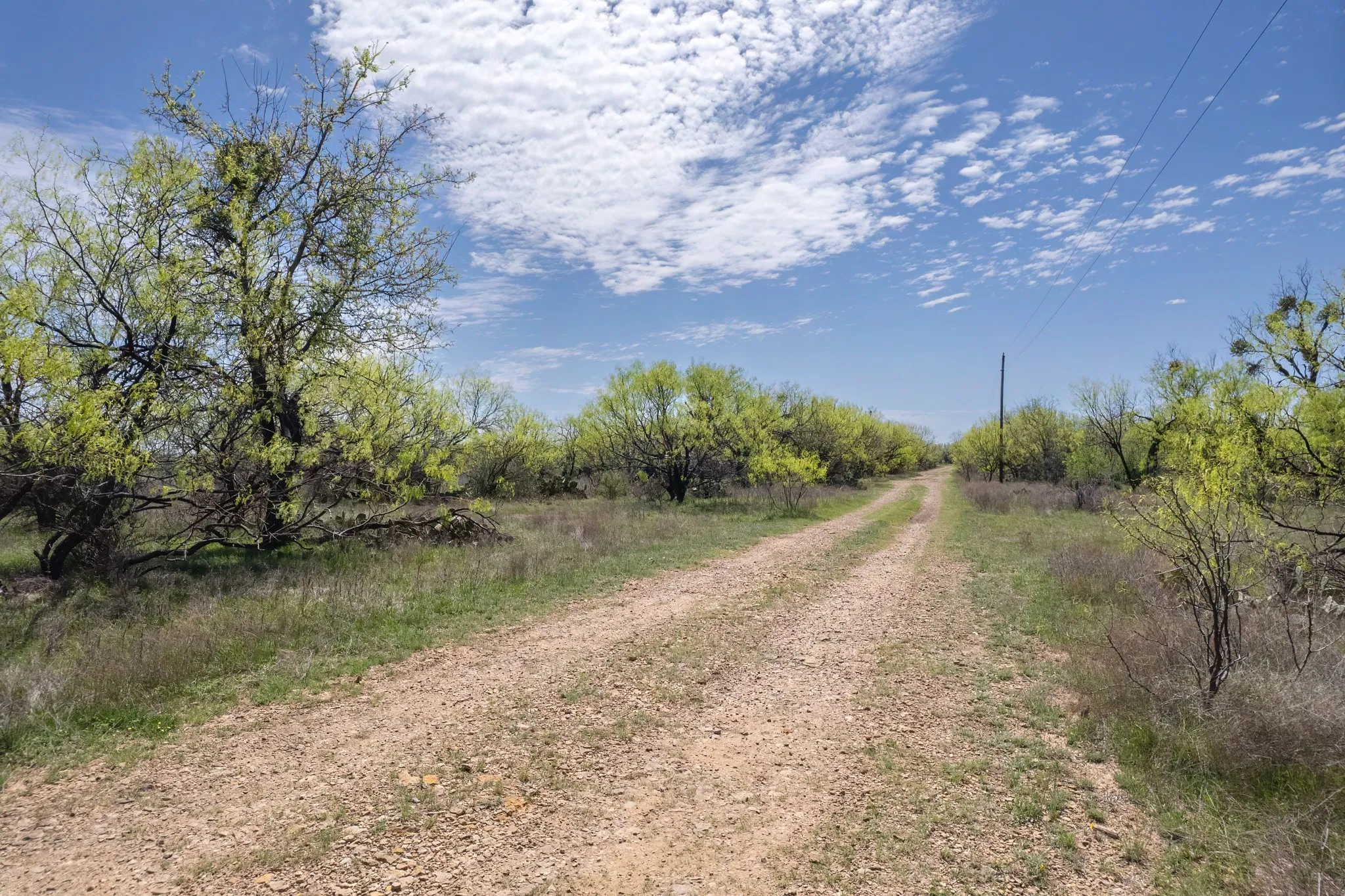 Ranch For Sale in Coleman County , TBD FM 568, Coleman, Texas 76834, 0, 0, Garage spaces, 0 Sqft, built in 0, Price $1,264,500, mls#21223428, Real Estate Agent in Coleman, Homes For Sale in Coleman county, Homes For Sale in Coleman, Realtor in Coleman Texas, Real Estate Brokerage Independent Realty Texas, Luminita Cordes Realtor