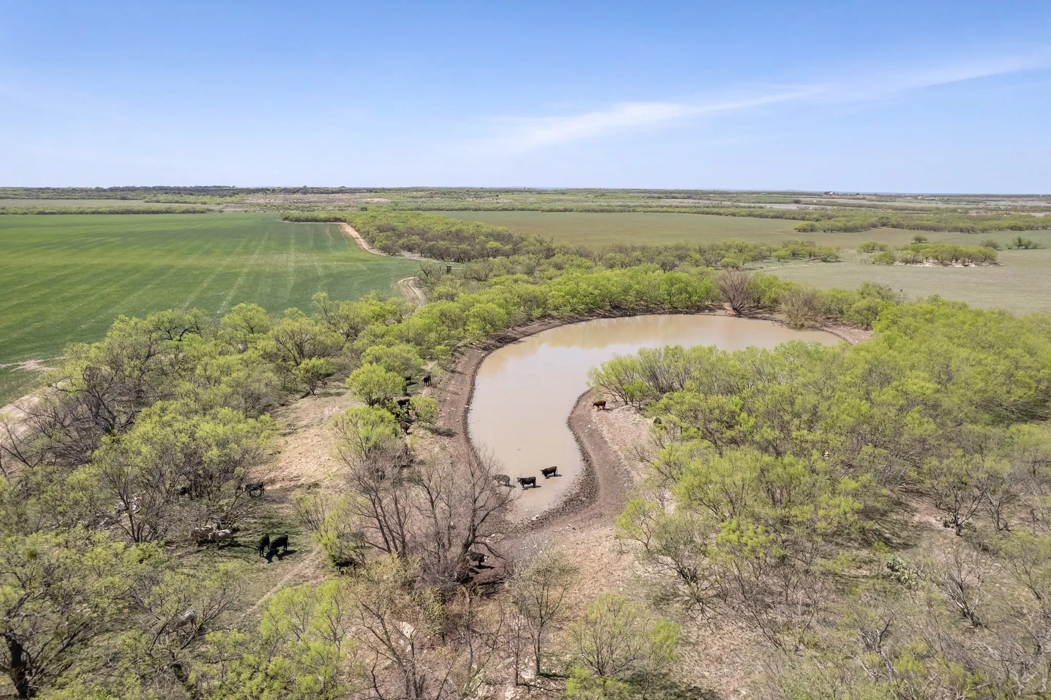 Ranch For Sale in Coleman County , TBD FM 568, Coleman, Texas 76834, 0, 0, Garage spaces, 0 Sqft, built in 0, Price $1,264,500, mls#21223428, Real Estate Agent in Coleman, Homes For Sale in Coleman county, Homes For Sale in Coleman, Realtor in Coleman Texas, Real Estate Brokerage Independent Realty Texas, Luminita Cordes Realtor