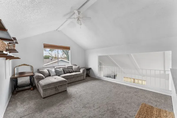 Living area featuring carpet flooring, a ceiling fan, and a textured ceiling