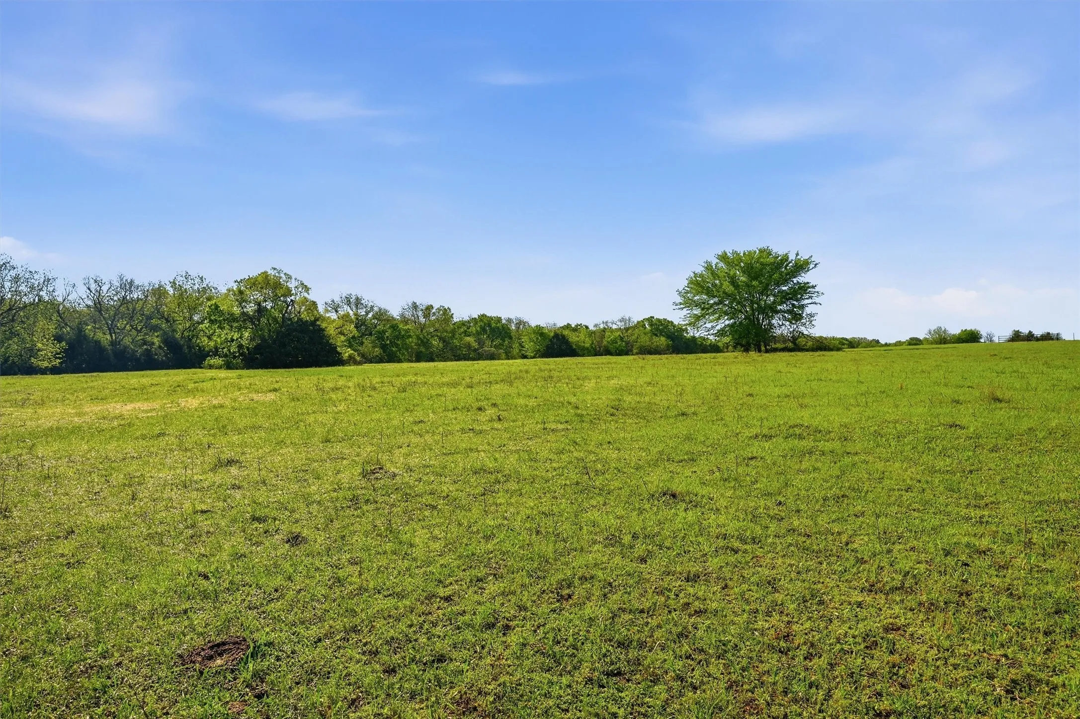 Unimproved Land For Sale in Grayson County , 10.5 Dexter Road, Whitesboro, Texas 76273, 0, 0, Garage spaces, 0 Sqft, built in 0, mls#21235557, Real Estate Agent in Whitesboro, Homes For Sale in Grayson county, Homes For Sale in Whitesboro, Realtor in Whitesboro Texas, Real Estate Brokerage Independent Realty Texas, Luminita Cordes Realtor