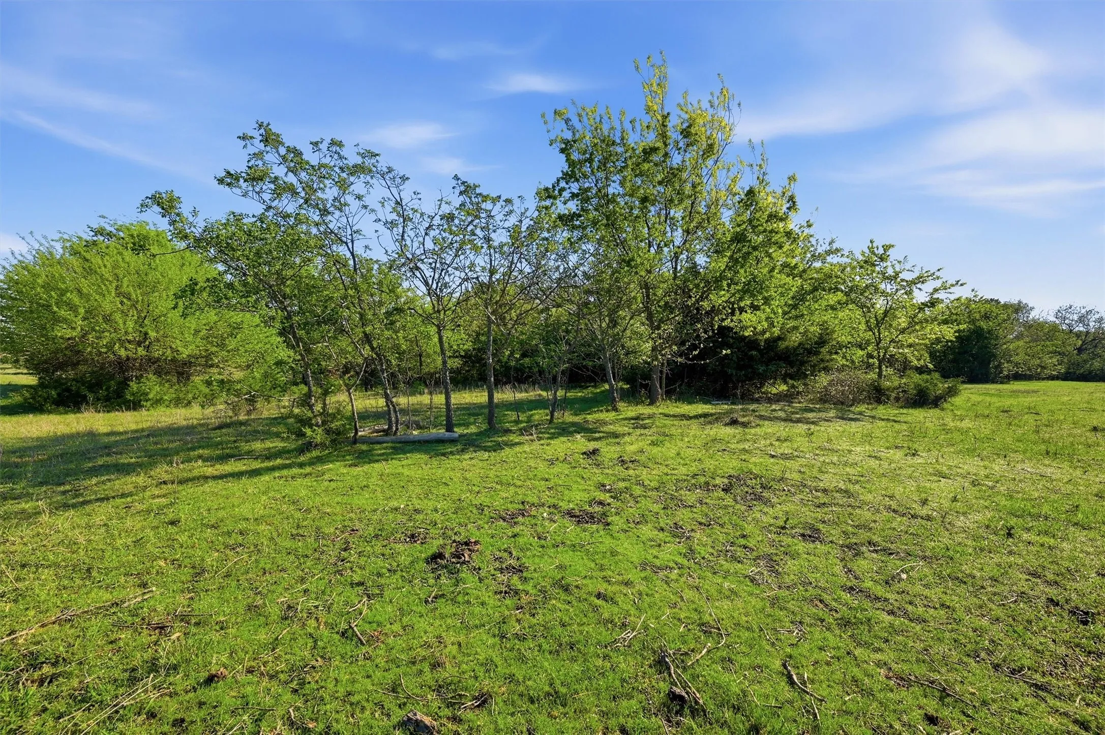 Unimproved Land For Sale in Grayson County , 10.5 Dexter Road, Whitesboro, Texas 76273, 0, 0, Garage spaces, 0 Sqft, built in 0, mls#21235557, Real Estate Agent in Whitesboro, Homes For Sale in Grayson county, Homes For Sale in Whitesboro, Realtor in Whitesboro Texas, Real Estate Brokerage Independent Realty Texas, Luminita Cordes Realtor