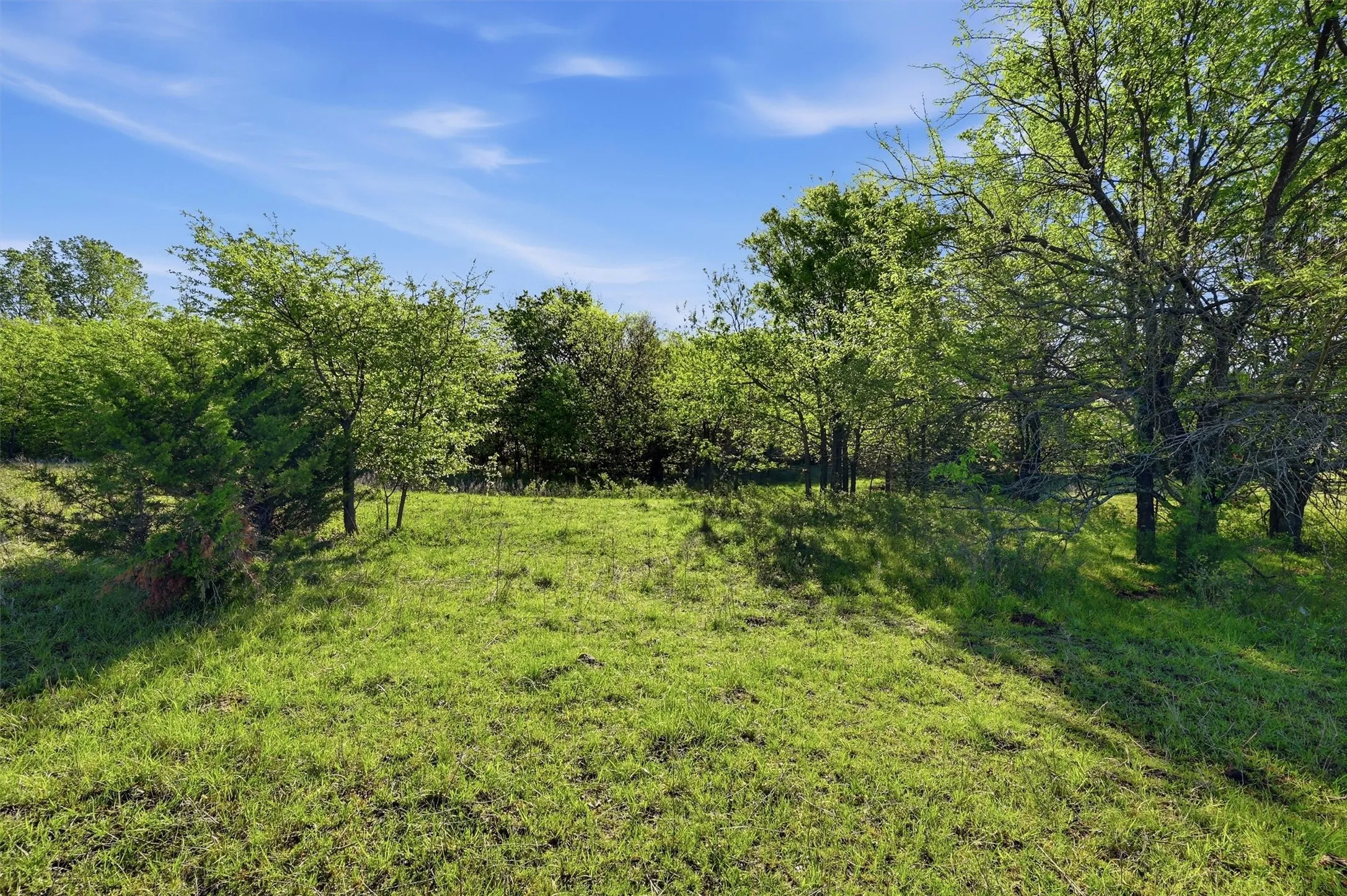 Unimproved Land For Sale in Grayson County , 10.5 Dexter Road, Whitesboro, Texas 76273, 0, 0, Garage spaces, 0 Sqft, built in 0, mls#21235557, Real Estate Agent in Whitesboro, Homes For Sale in Grayson county, Homes For Sale in Whitesboro, Realtor in Whitesboro Texas, Real Estate Brokerage Independent Realty Texas, Luminita Cordes Realtor