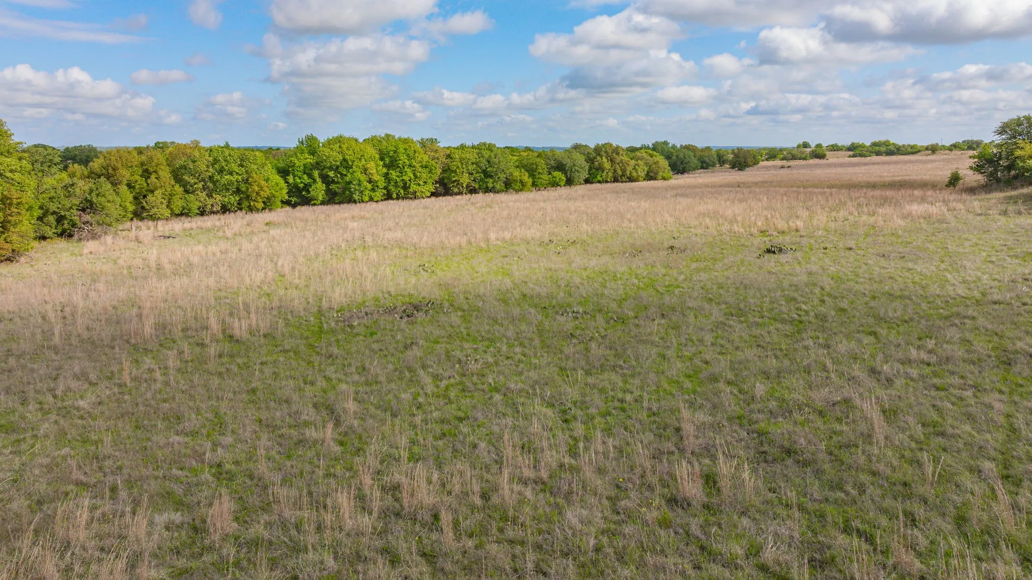Unimproved Land For Sale in Erath County , Tract 30 STATE Avenue, Stephenville, Texas 76401, 0, 0, Garage spaces, 0 Sqft, built in 0, Price $253,000, mls#21239907, Real Estate Agent in Stephenville, Homes For Sale in Erath county, Homes For Sale in Stephenville, Realtor in Stephenville Texas, Real Estate Brokerage Independent Realty Texas, Luminita Cordes Realtor