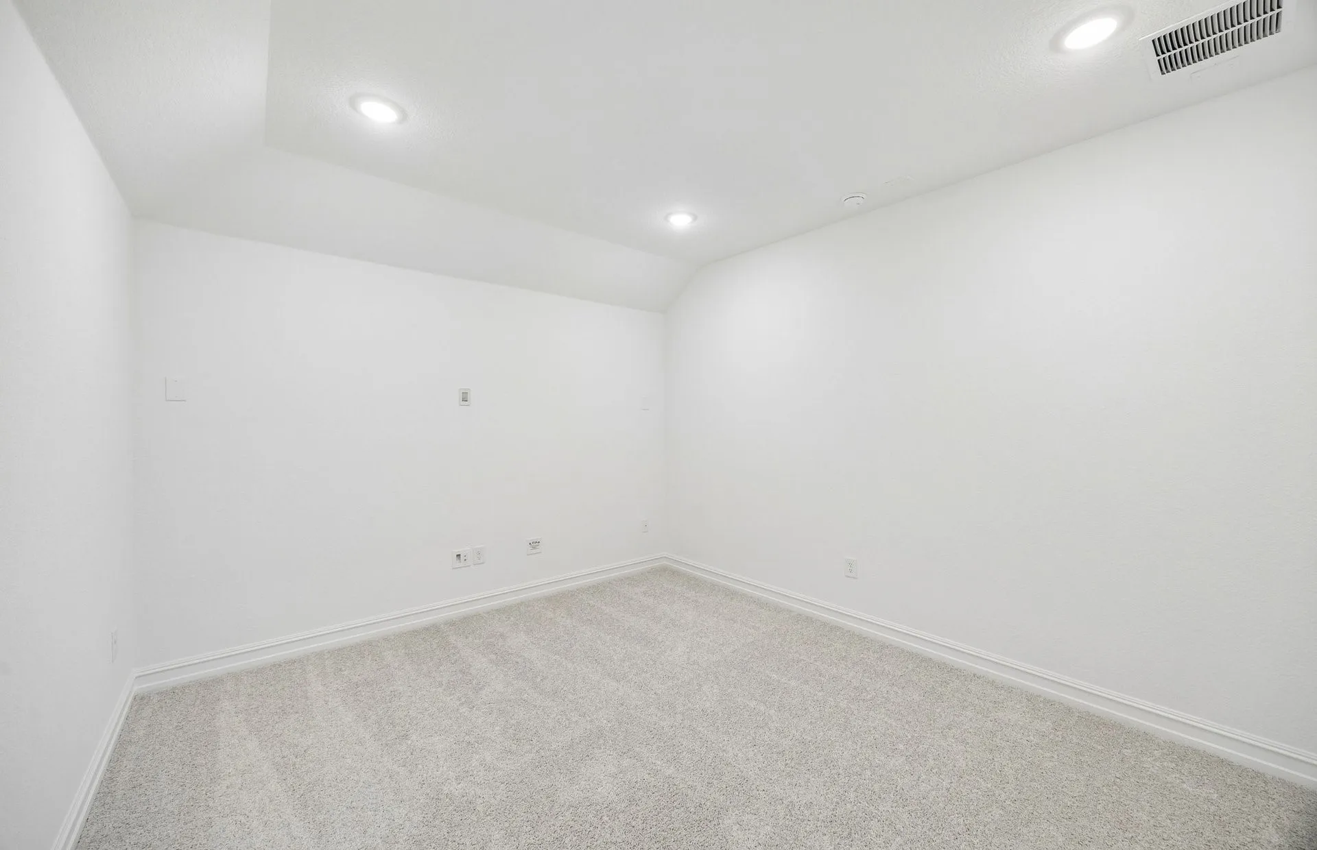 Spacious media room