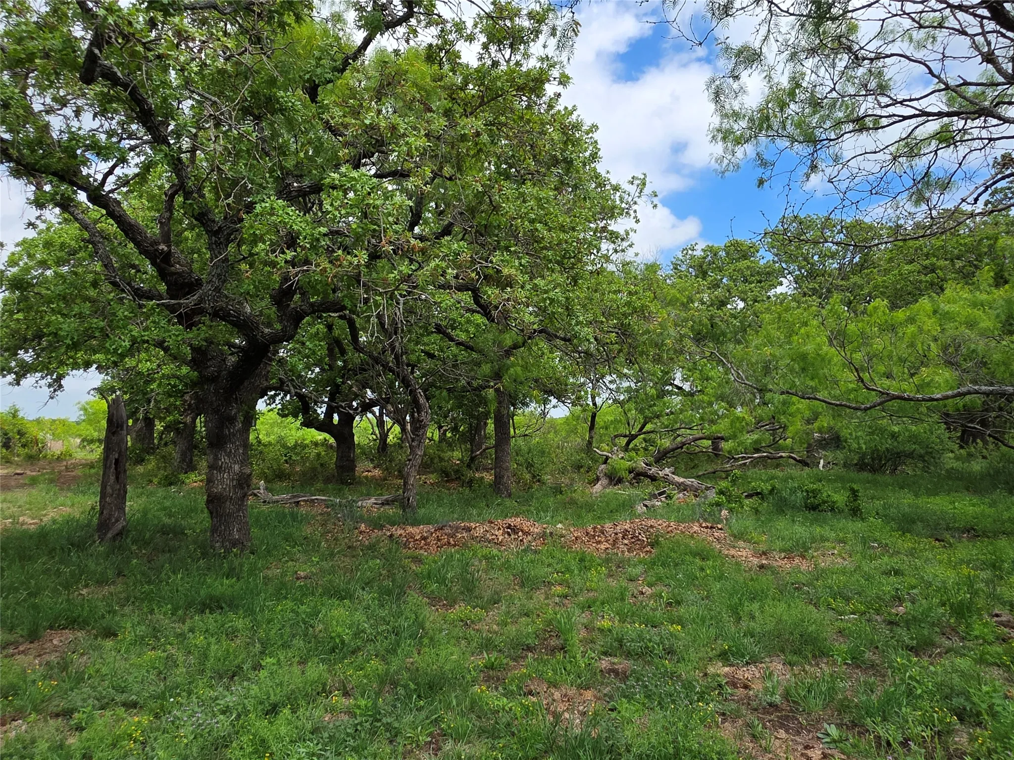 Single Family Residence For Sale in Brown County , 1200 E Fm 2273, May, Texas 76857, 3 Bedroom, 3 Bathroom, 2 Garage spaces, 2,490 Sqft, built in 2011, Preowned, mls#21240140, Real Estate Agent in May, Homes For Sale in Brown county, Homes For Sale in May, Realtor in May Texas, Real Estate Brokerage Independent Realty Texas, Luminita Cordes Realtor