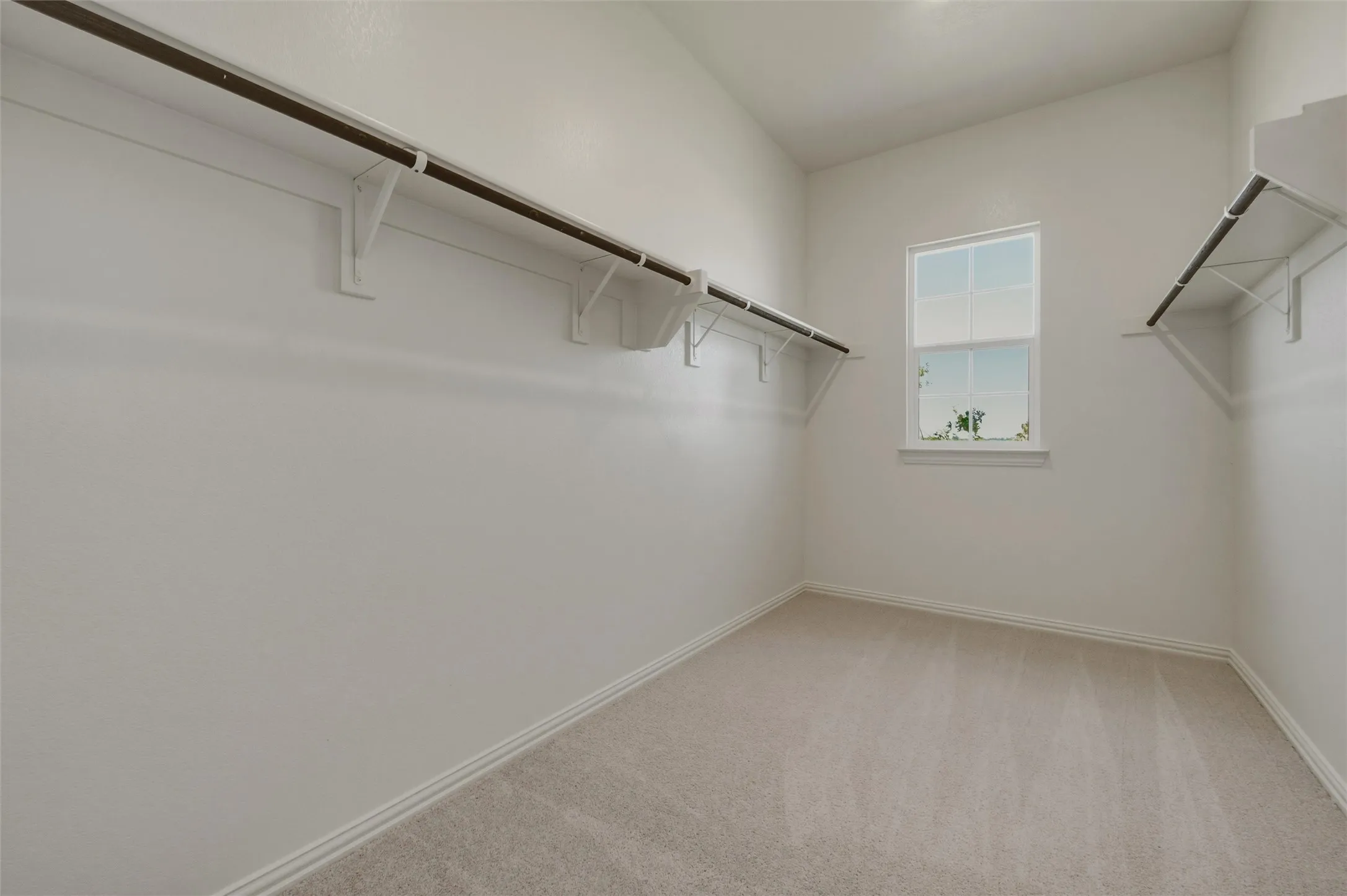 Expansive walk-in closet featuring built-in shelving, hanging rods, an integrated window, and neutral carpeting