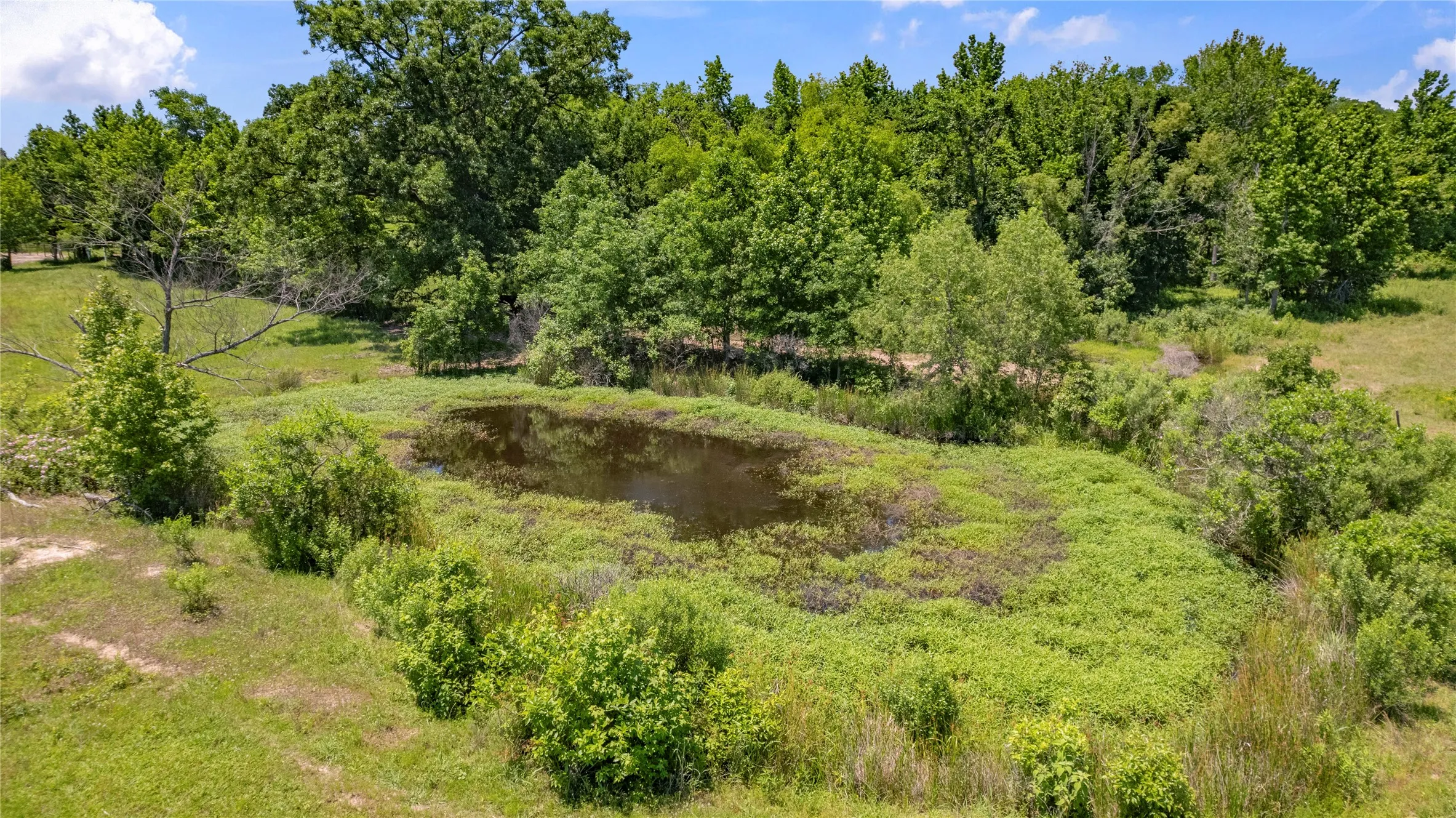 View of nature with a water view