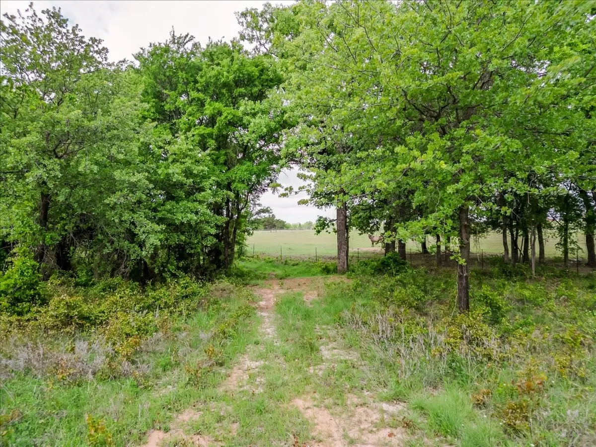 Ranch For Sale in Parker County , 4313 Bethel Road, Weatherford, Texas 76087, 0, 0, Garage spaces, 0 Sqft, built in 1800, Price $7,627,737, mls#21238714, Real Estate Agent in Weatherford, Homes For Sale in Parker county, Homes For Sale in Weatherford, Realtor in Weatherford Texas, Real Estate Brokerage Independent Realty Texas, Luminita Cordes Realtor